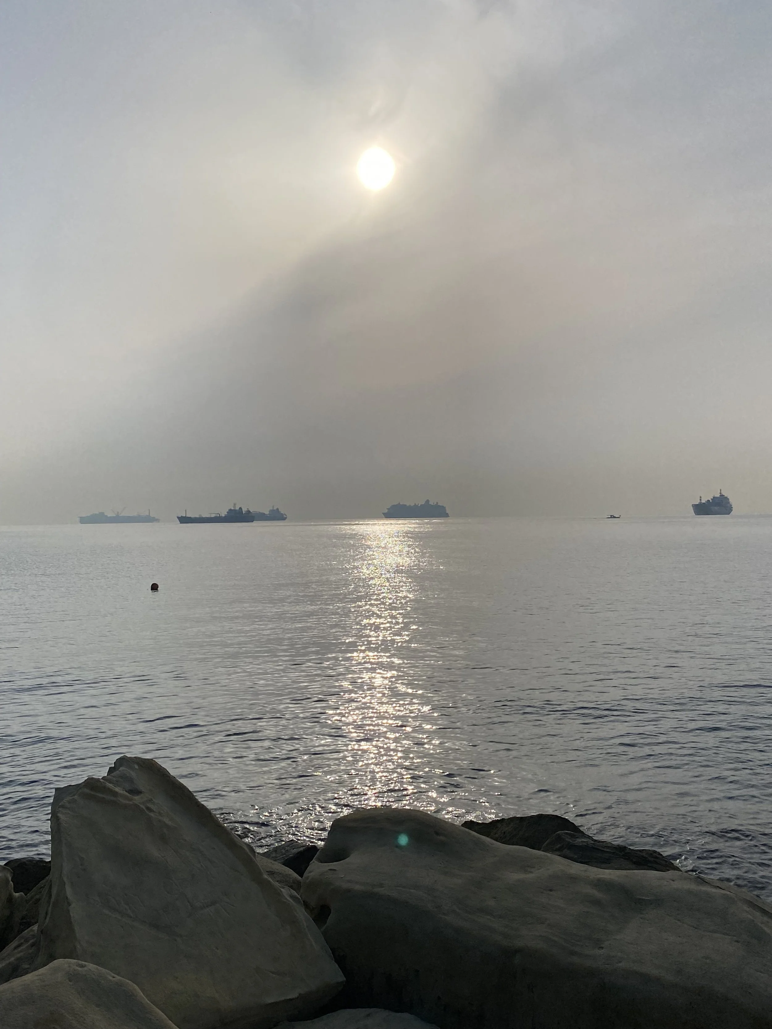 Χρόνιος πόνος 