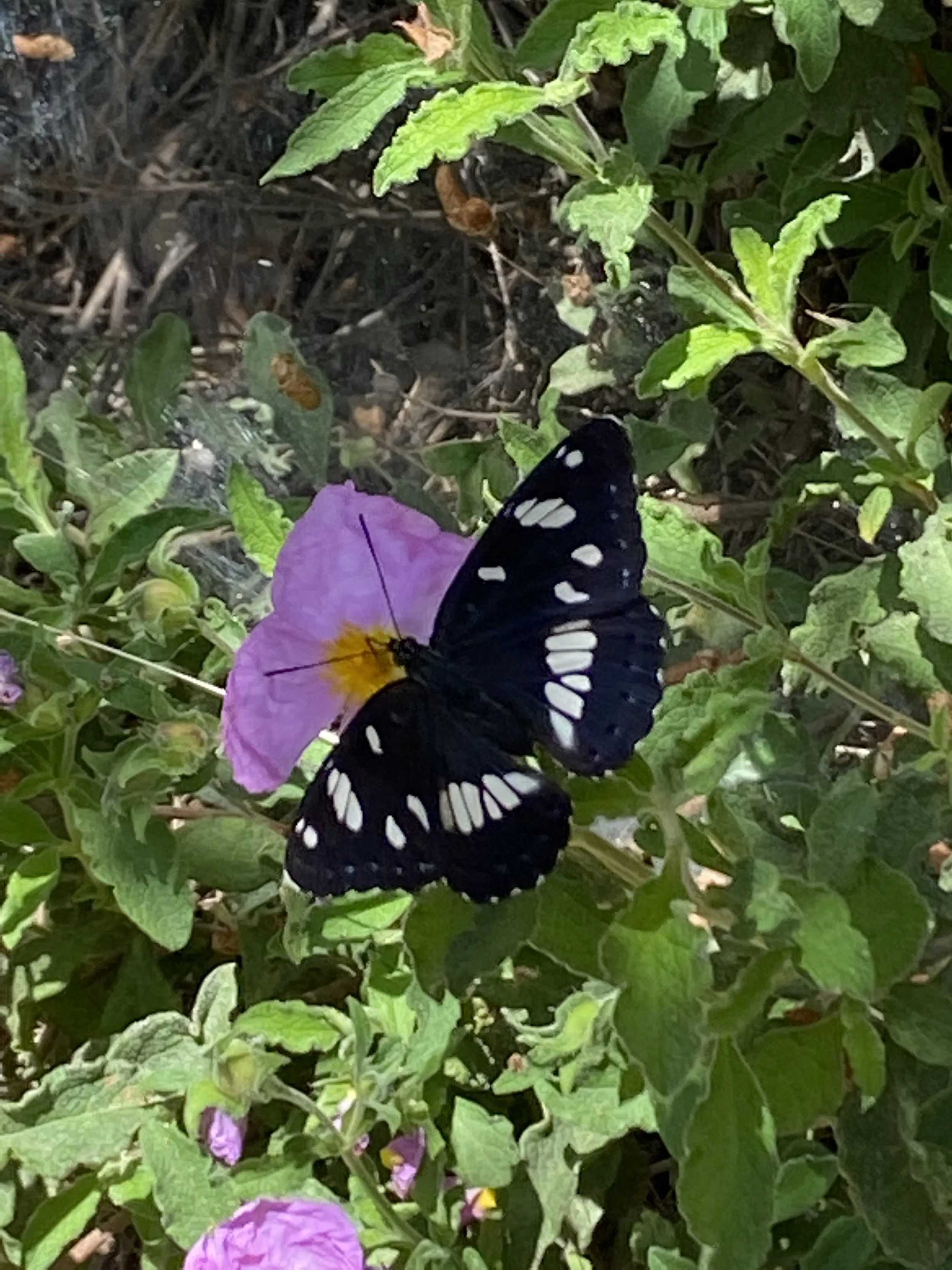 Όταν κάτι μέσα σου, ζητά αλλαγή