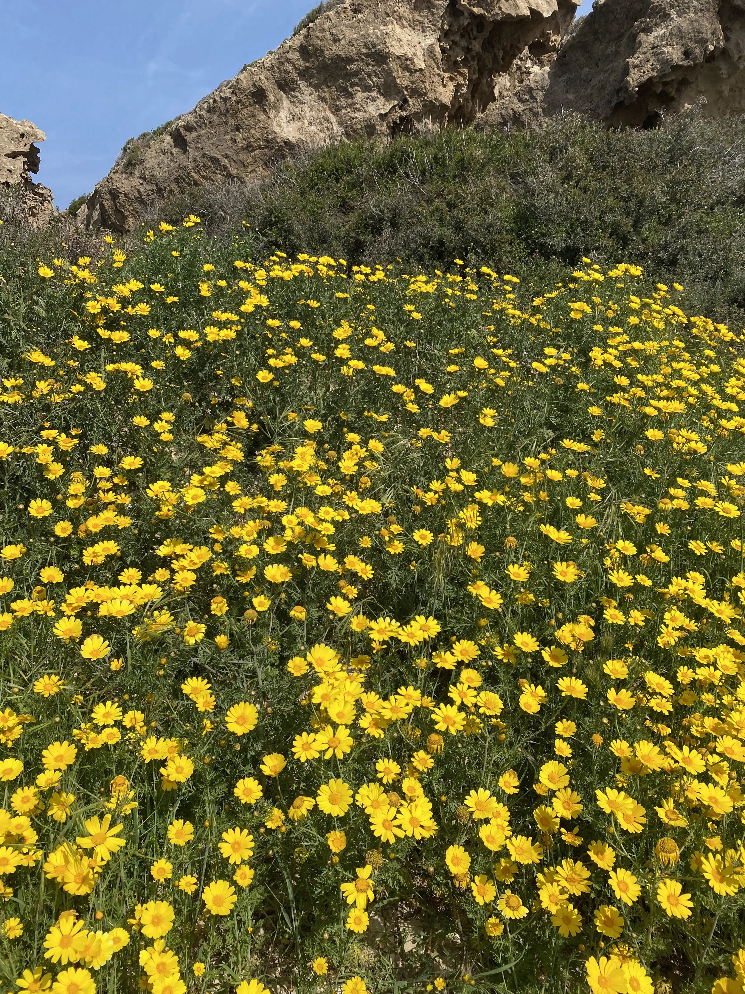 Την Άνοιξη αν δεν την βρεις, την φτιάχνεις