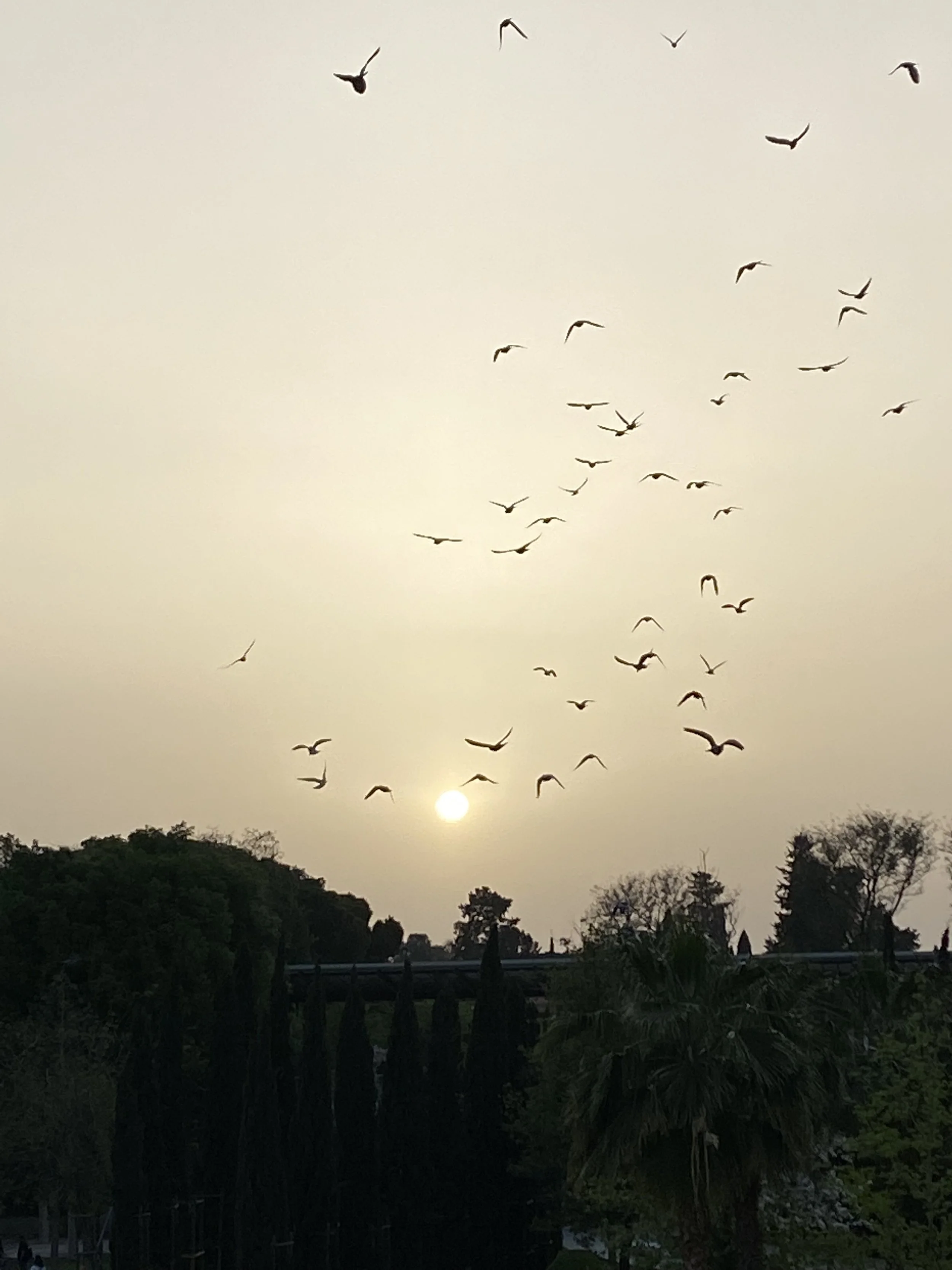 Συν+χωρώ για μένα 