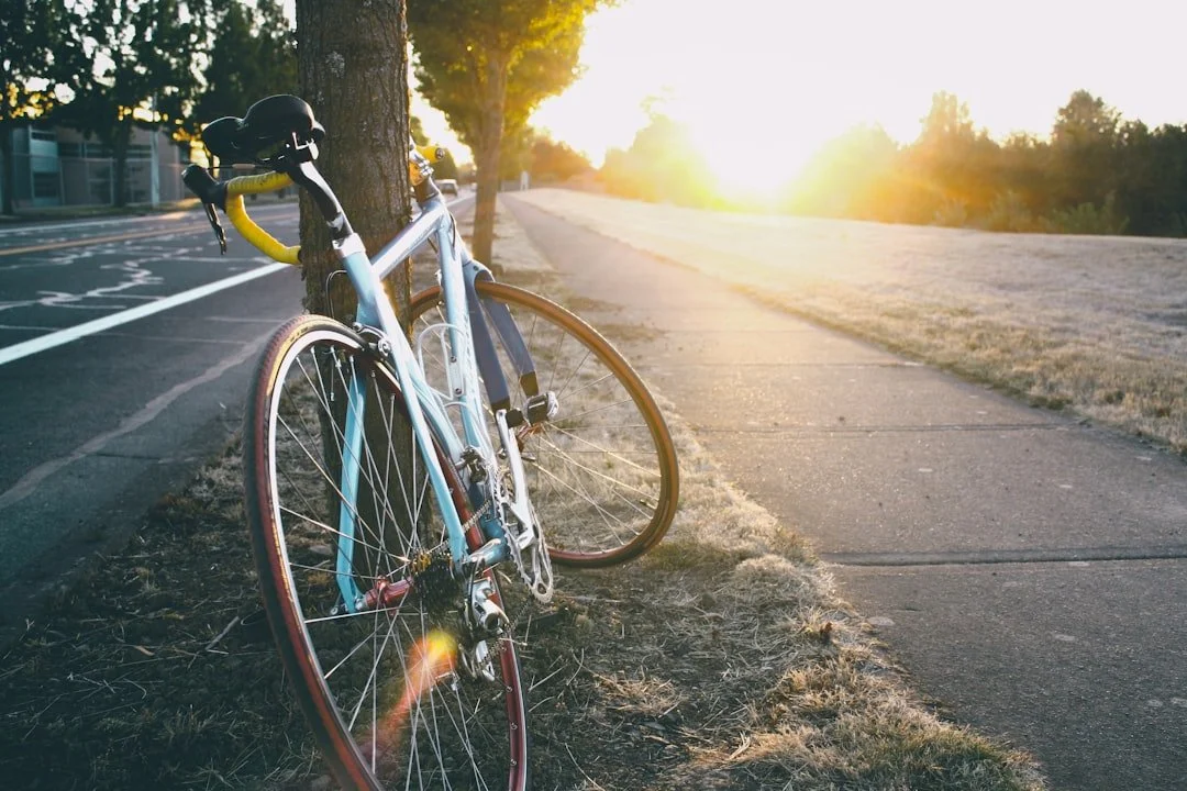 A bicycle leaning against a tree on a sidewalk during sunrise or sunset.