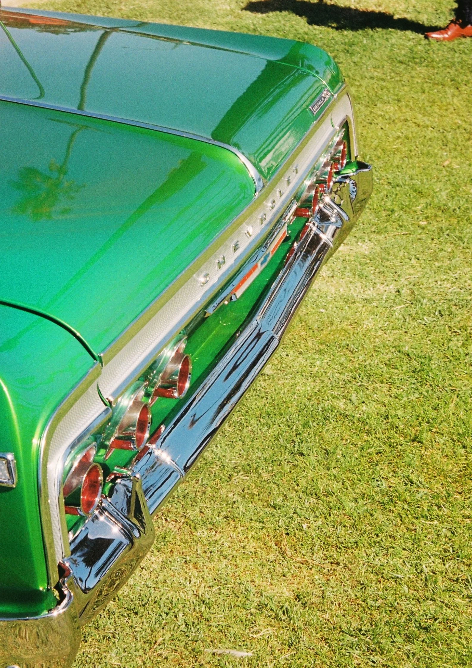 Untitled design (3).jpg