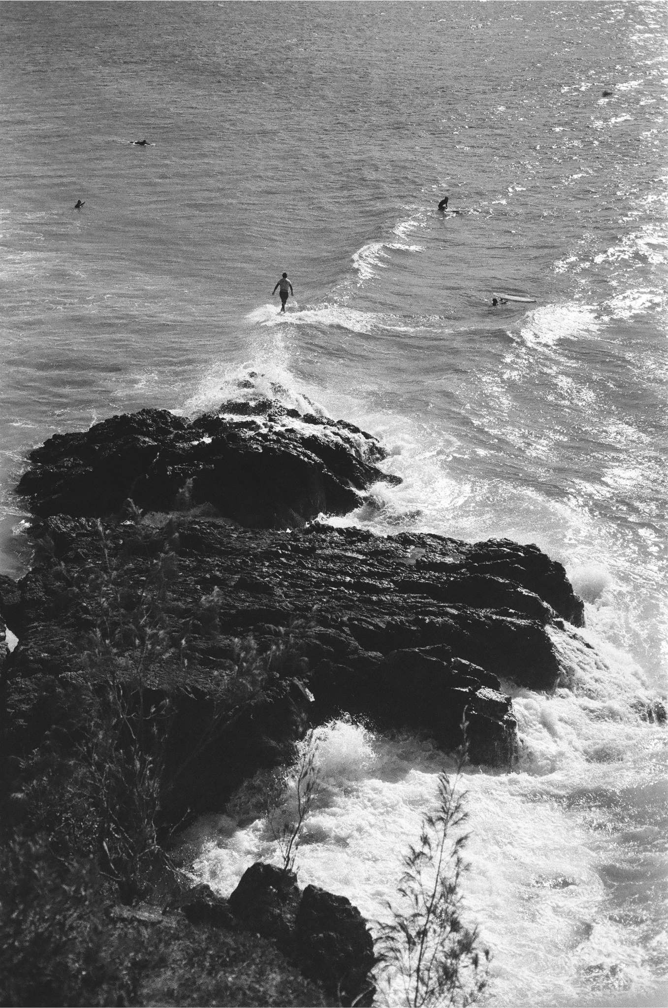 Untitled design (2).png