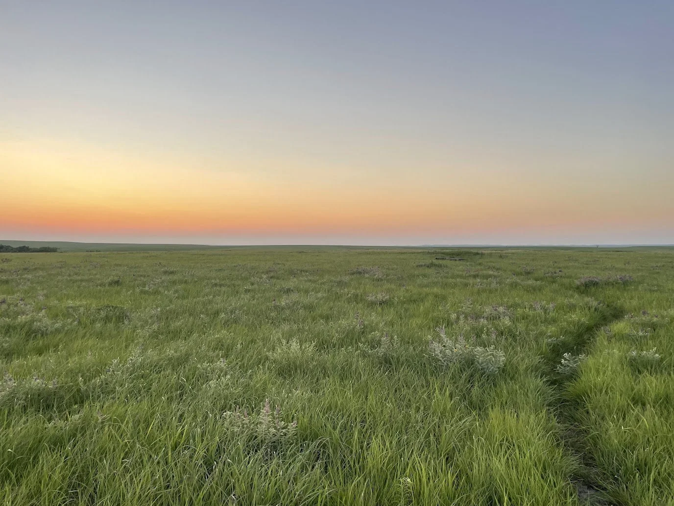 prairie.jpg