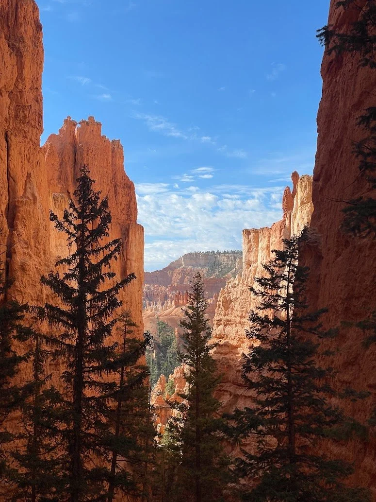 bryce canyon.jpg