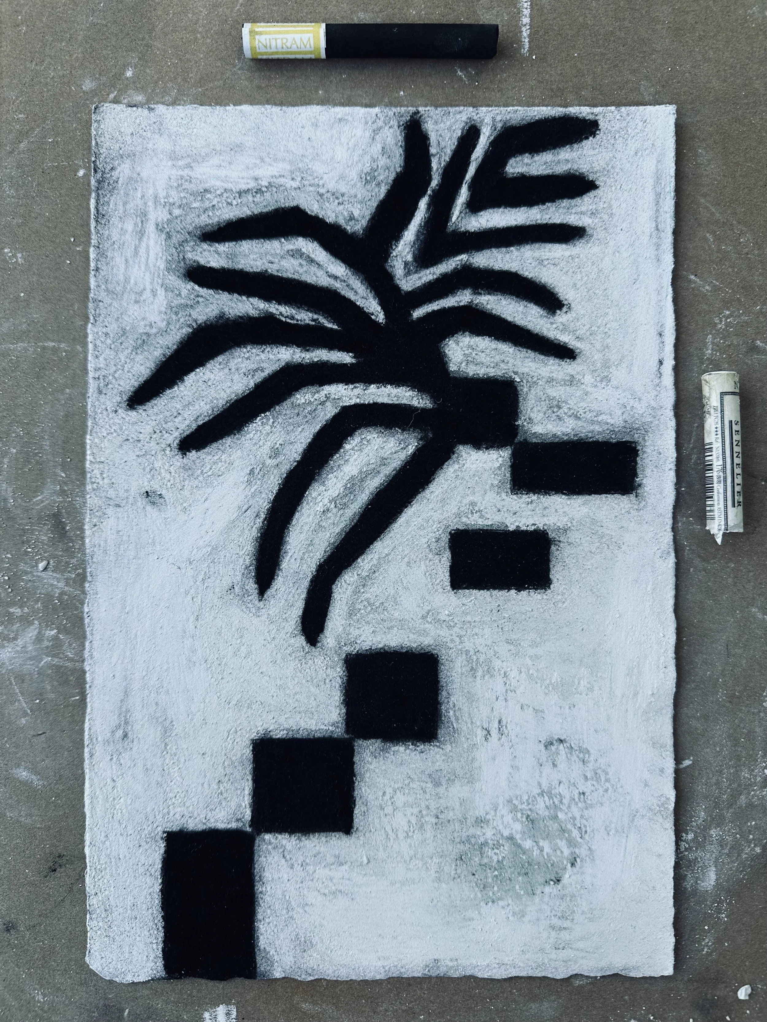 Palm Sketch
soft pastels
 2025