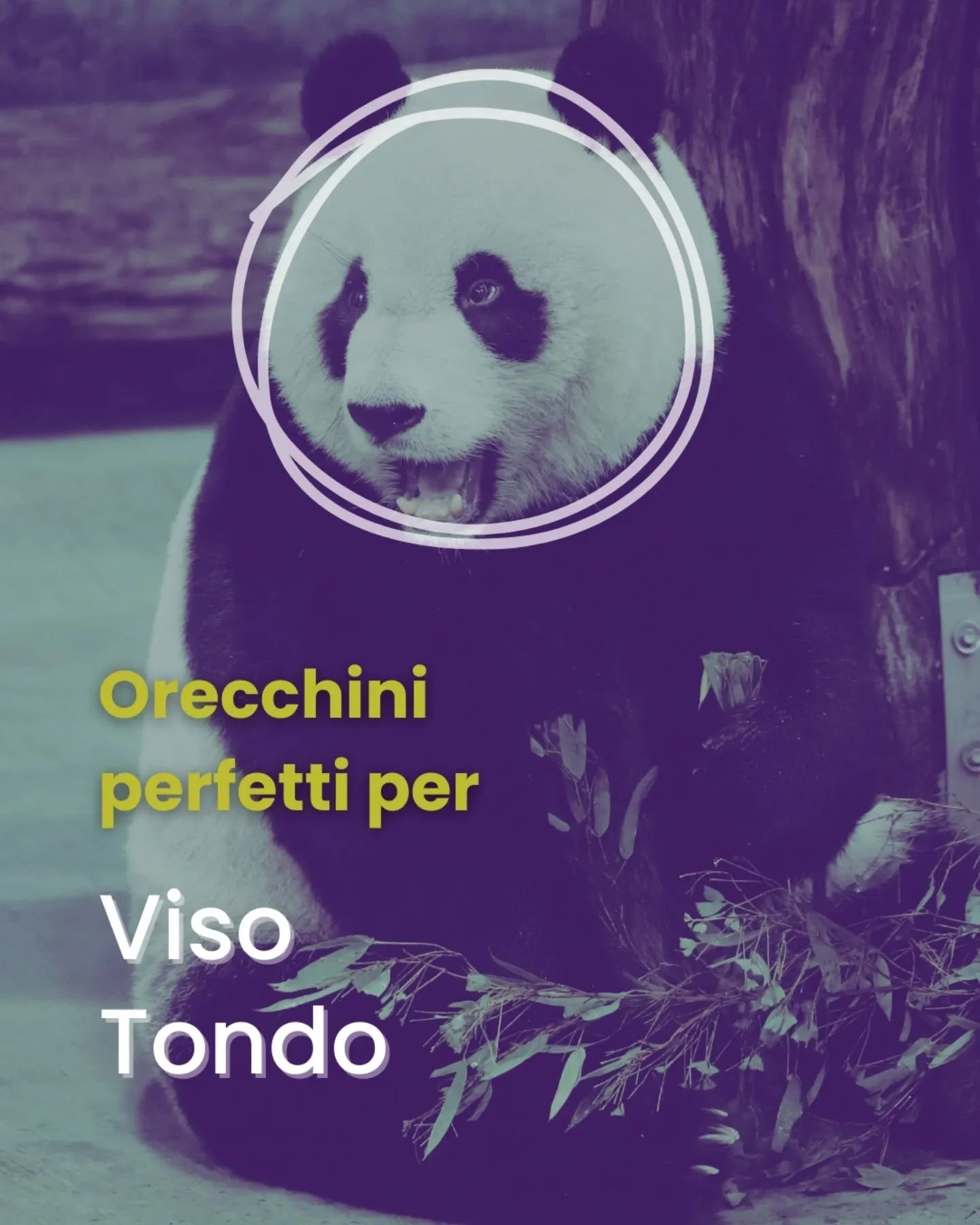 Se hai un viso tondo, il segreto &egrave; giocare con le geometrie per creare equilibrio e slanciare i lineamenti. 
- Si alle geometrie decise
- Gli orecchini a bottone ci piacciono, ma non palline
- No volumi eccessivi che accentuano la rotondit&agr