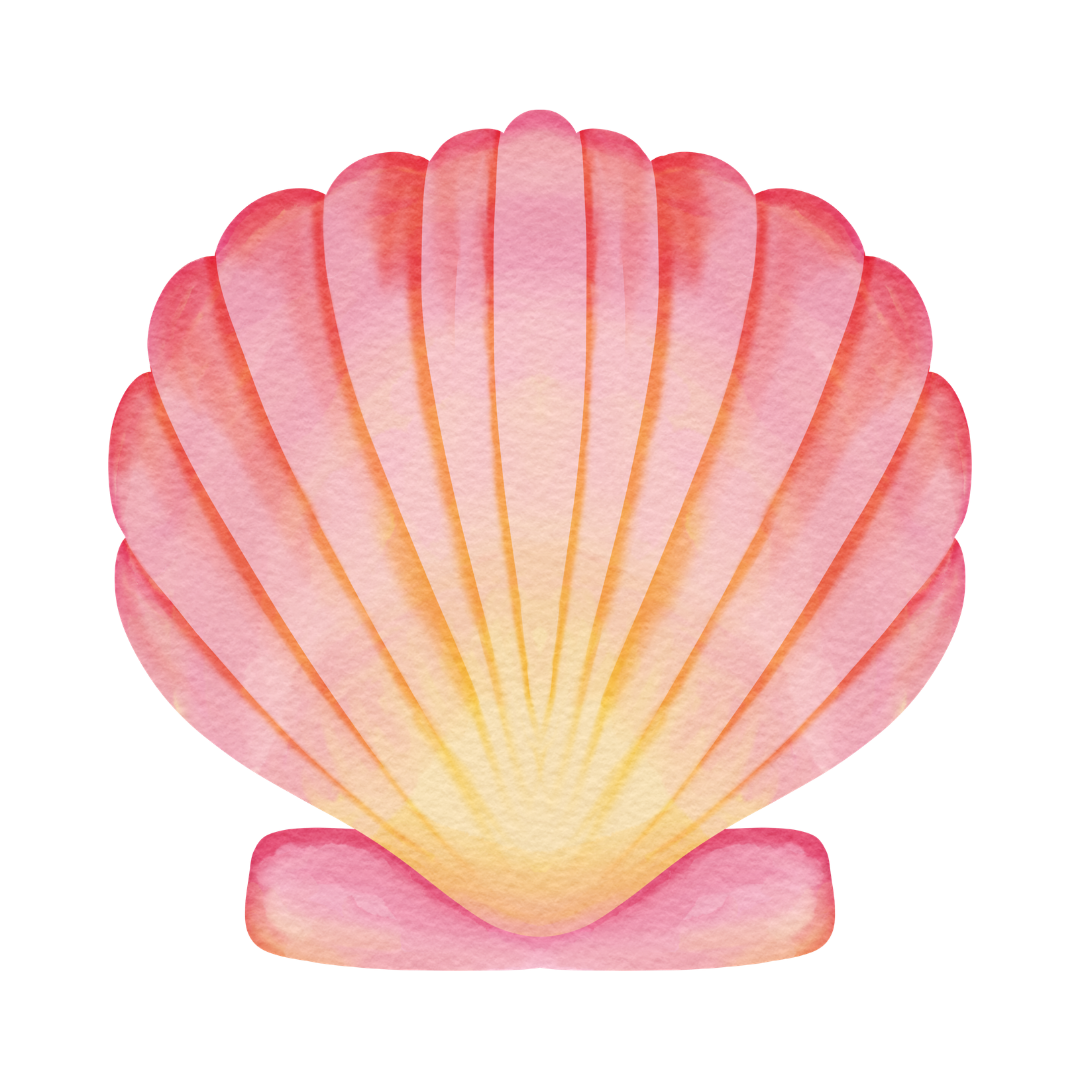 Coquillage de couleur rose et orange avec une texture aquarelle.