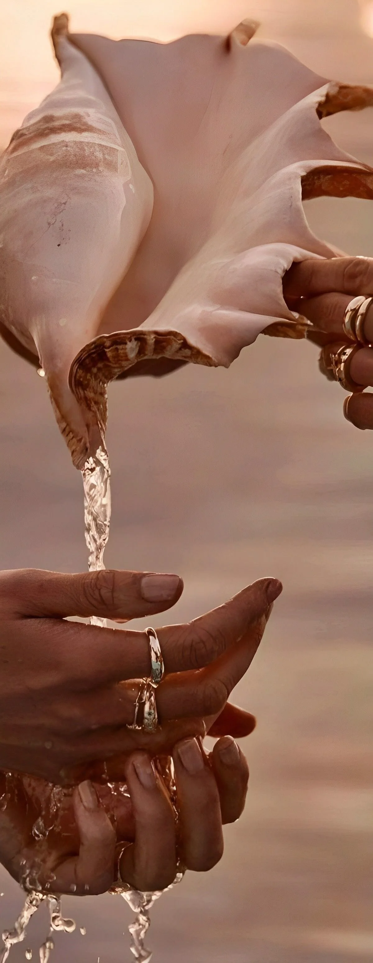 Palabes en coquillage avec de l'eau claire coulée entre les mains.
