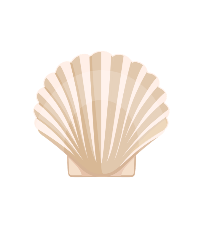 Coquillage beige stylisé avec des lignes radiales.