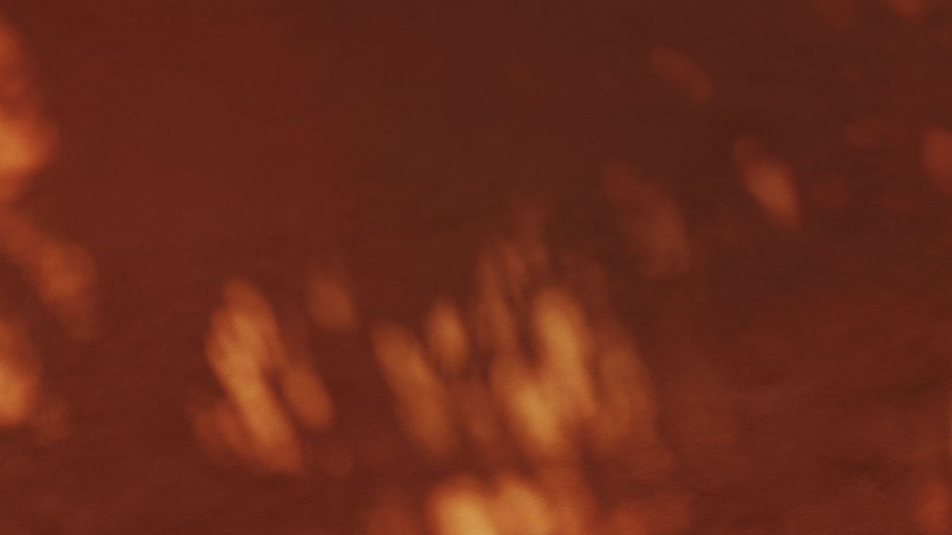 L'image est floue et affiche probablement une scène sombre avec une lumière douce et des formes indistinctes.