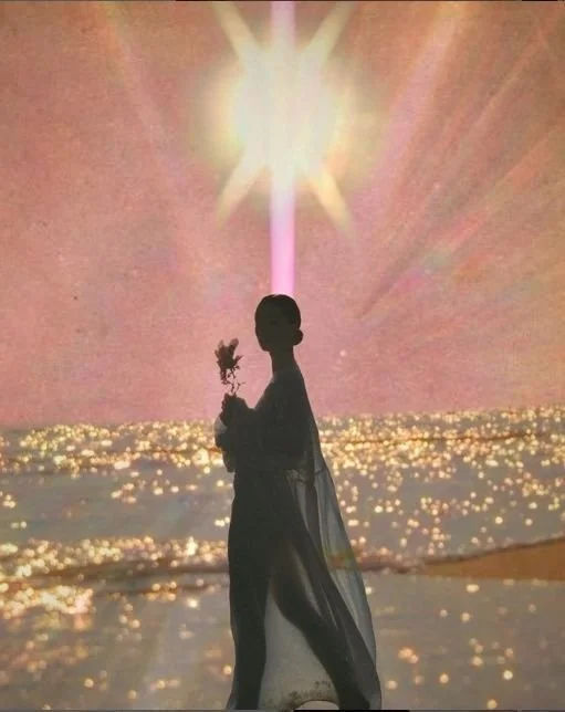 Silhouette d'une femme tenant une fleur, avec un soleil brillant derrière elle, se tenant près de l'eau au coucher du soleil.