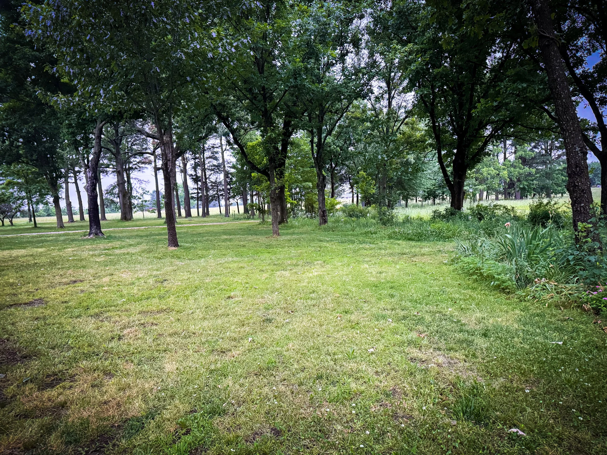 IMG_0118 2.JPG