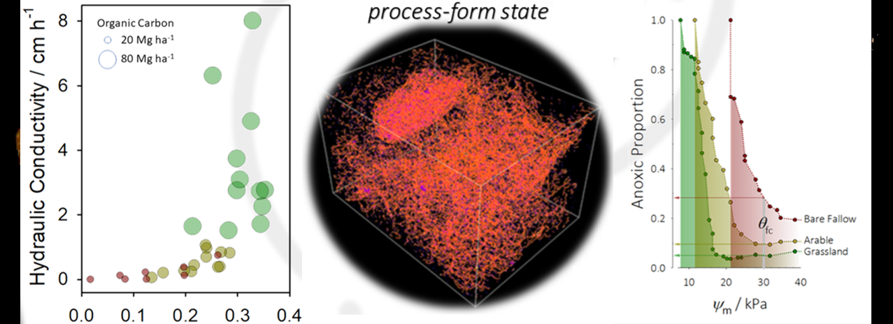 A scientific infographic displaying three graphs related to soil or environmental analysis. The left graph shows a scatter plot of hydraulic conductivity versus organic carbon, with bubble sizes indicating different organic carbon levels. The middle image is a 3D scatter plot or fractal-like visualization. The right graph displays a line chart of Anoxic Proportion versus soil moisture content, comparing bare fallow, arable, and grassland land types.
