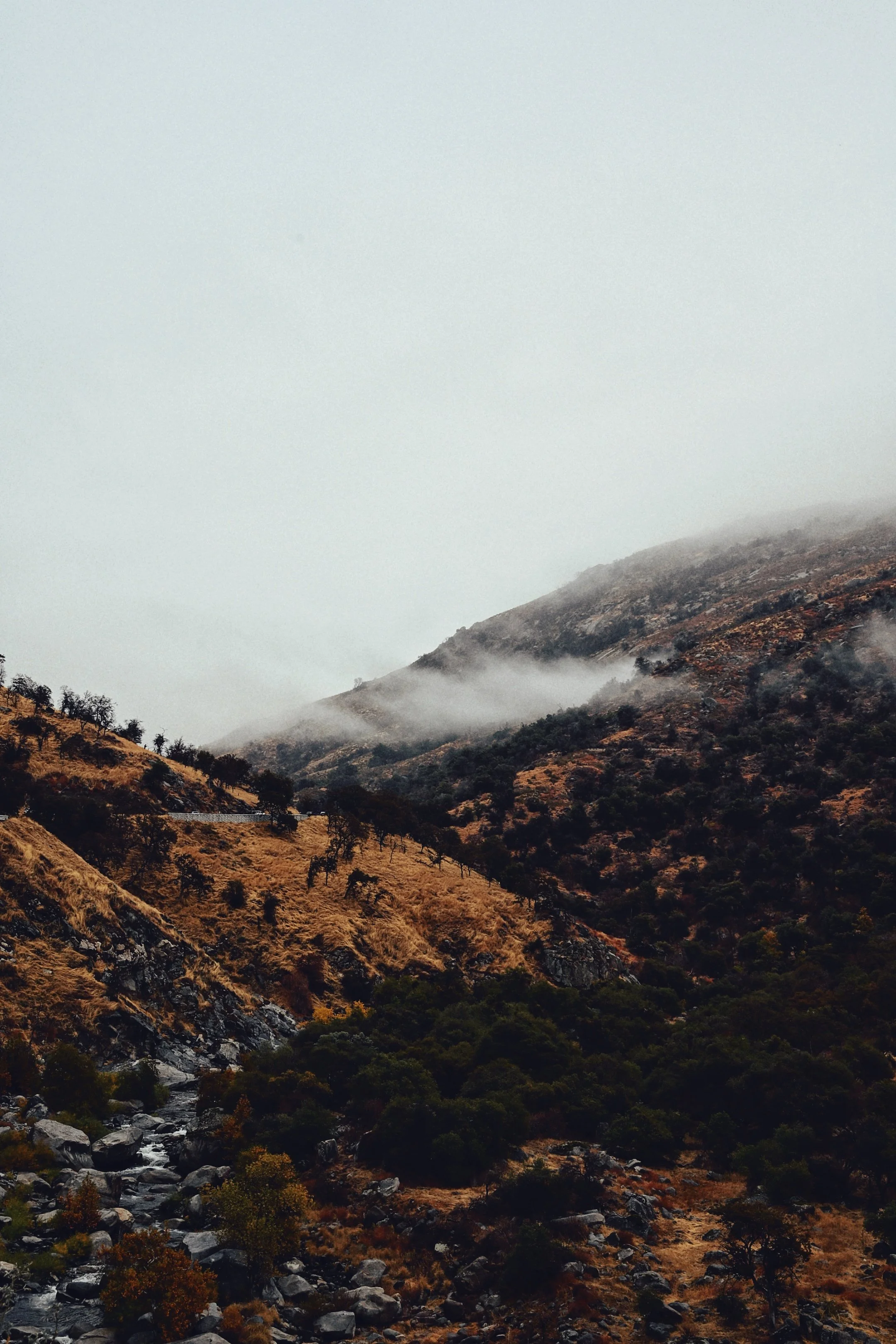 A mountain landscape with misty clouds, rocky slopes, and sparse trees and shrubs.