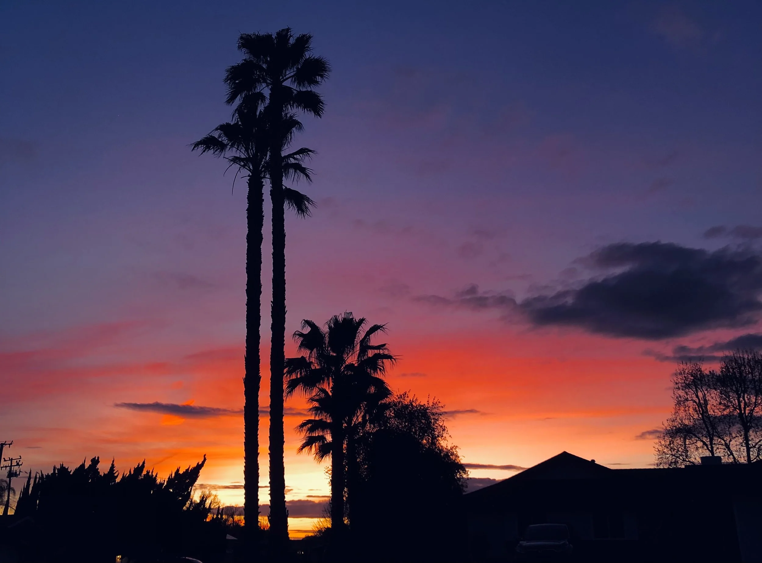 Silhouetted palm trees and houses against a colorful sunset sky with hues of purple, pink, orange, and blue.