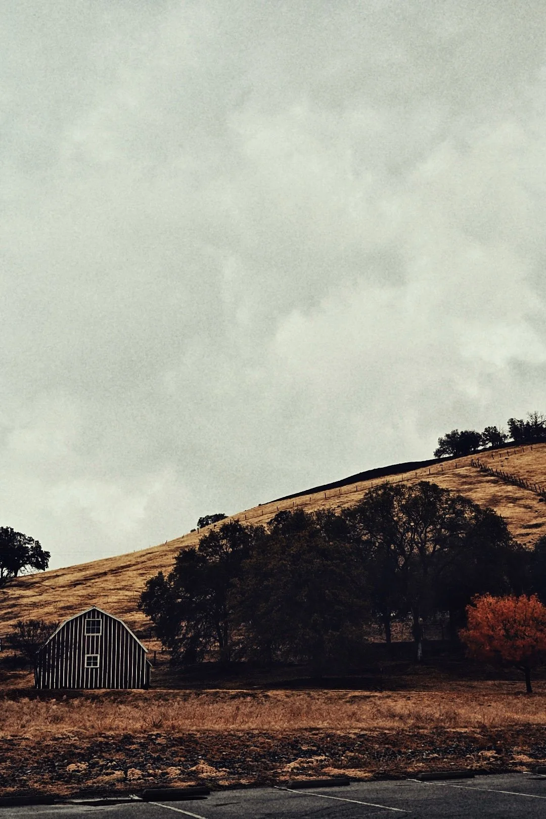 A rural landscape with a small barn, trees, and a hillside under an overcast sky.