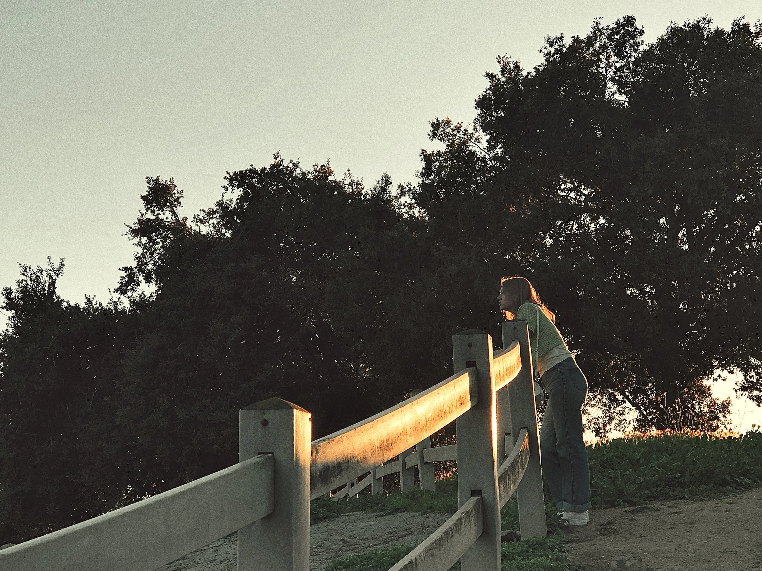 A woman leaning on a wooden fence, looking towards the distance, with large trees in the background, during sunset.