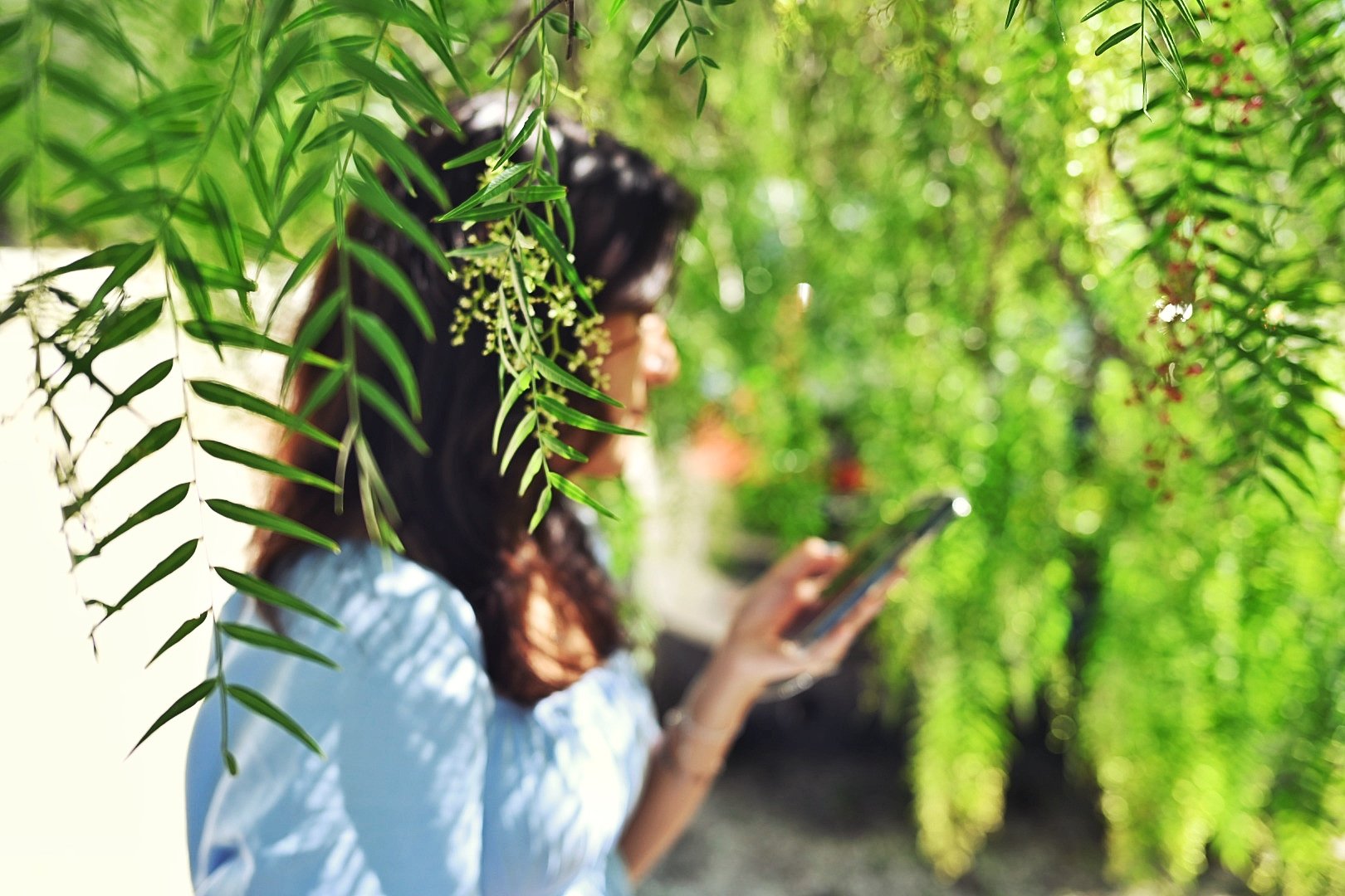 A woman standing amid green foliage, looking at her phone, with sunlight filtering through the leaves.