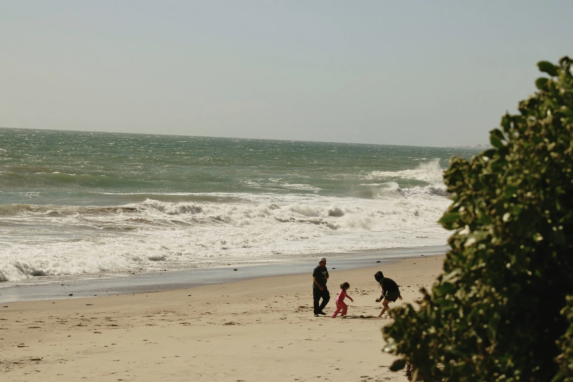 Family playing on a sandy beach near the ocean, with waves and greenery in the foreground.