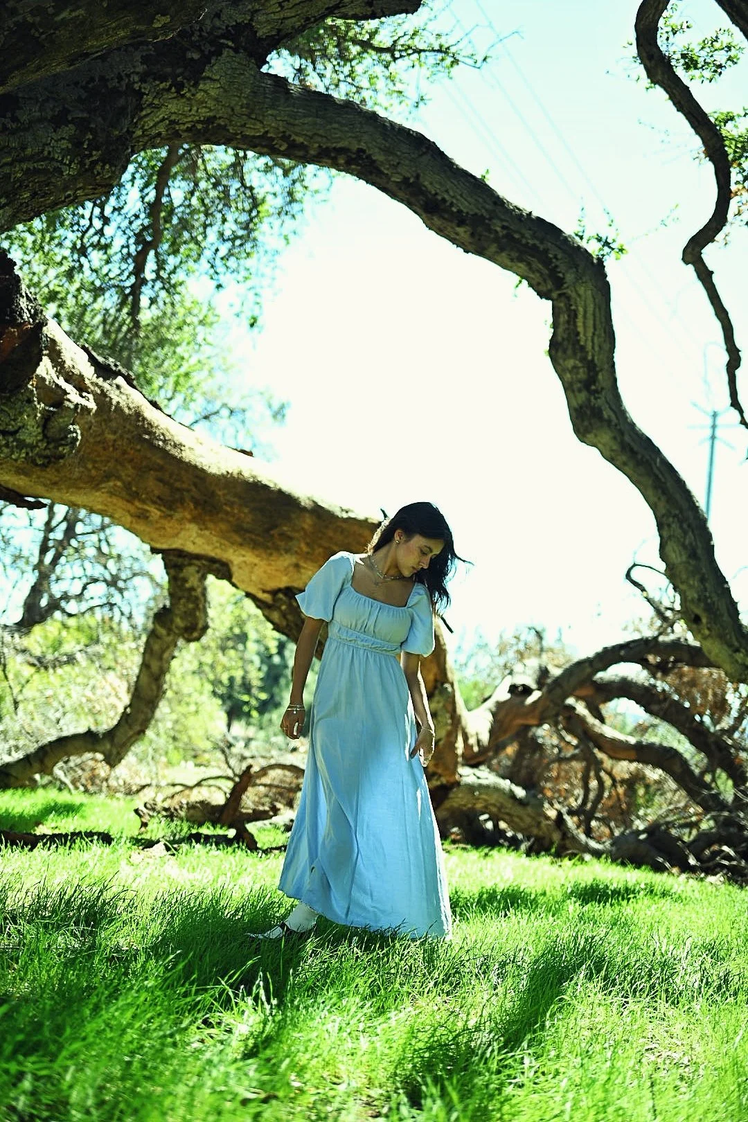 A woman in a flowing white dress standing in a grassy field with fallen large tree branches overhead and sunlight filtering through the leaves.