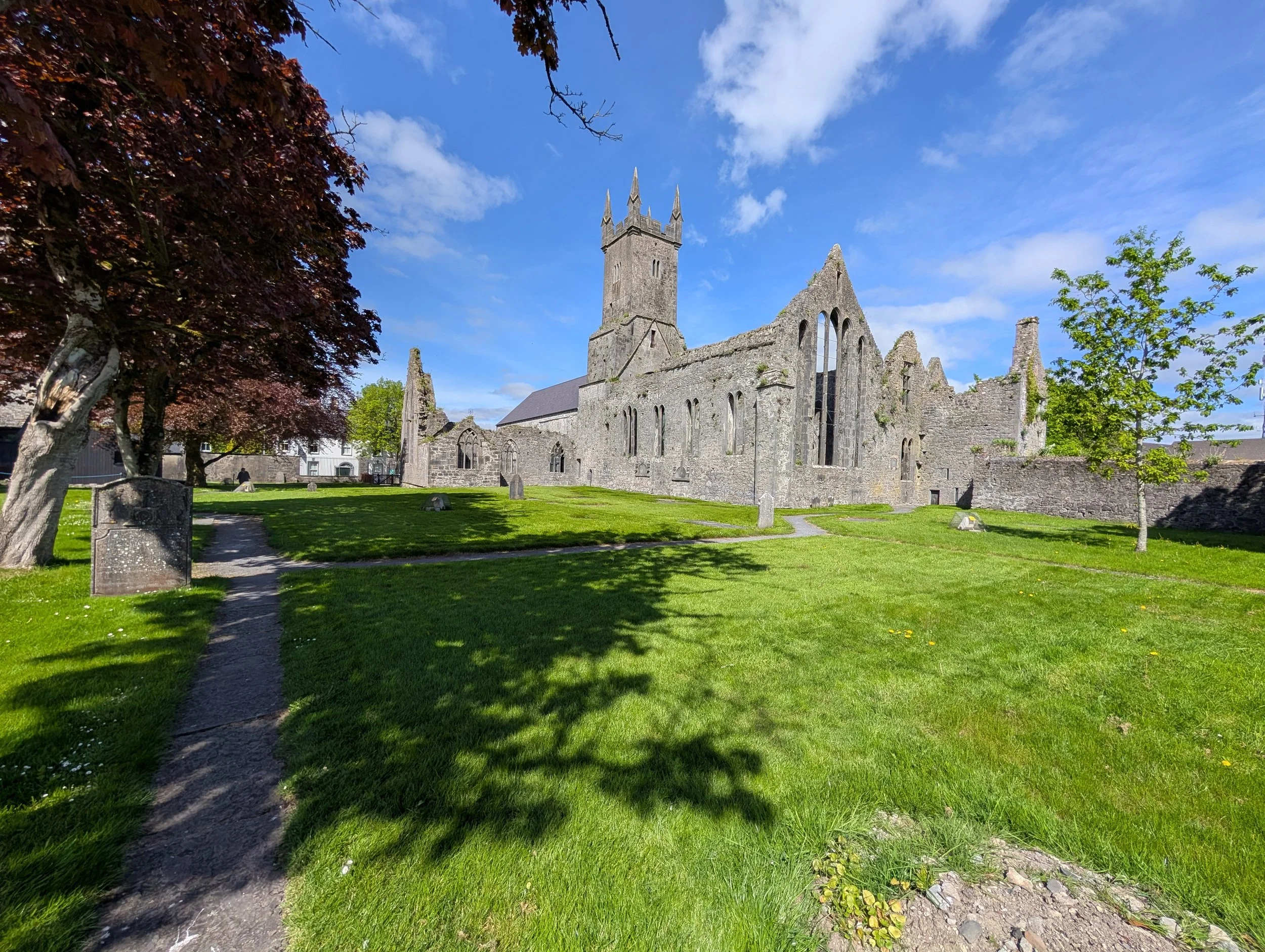 Basic Irish Genealogy Package - Expand Your Tree