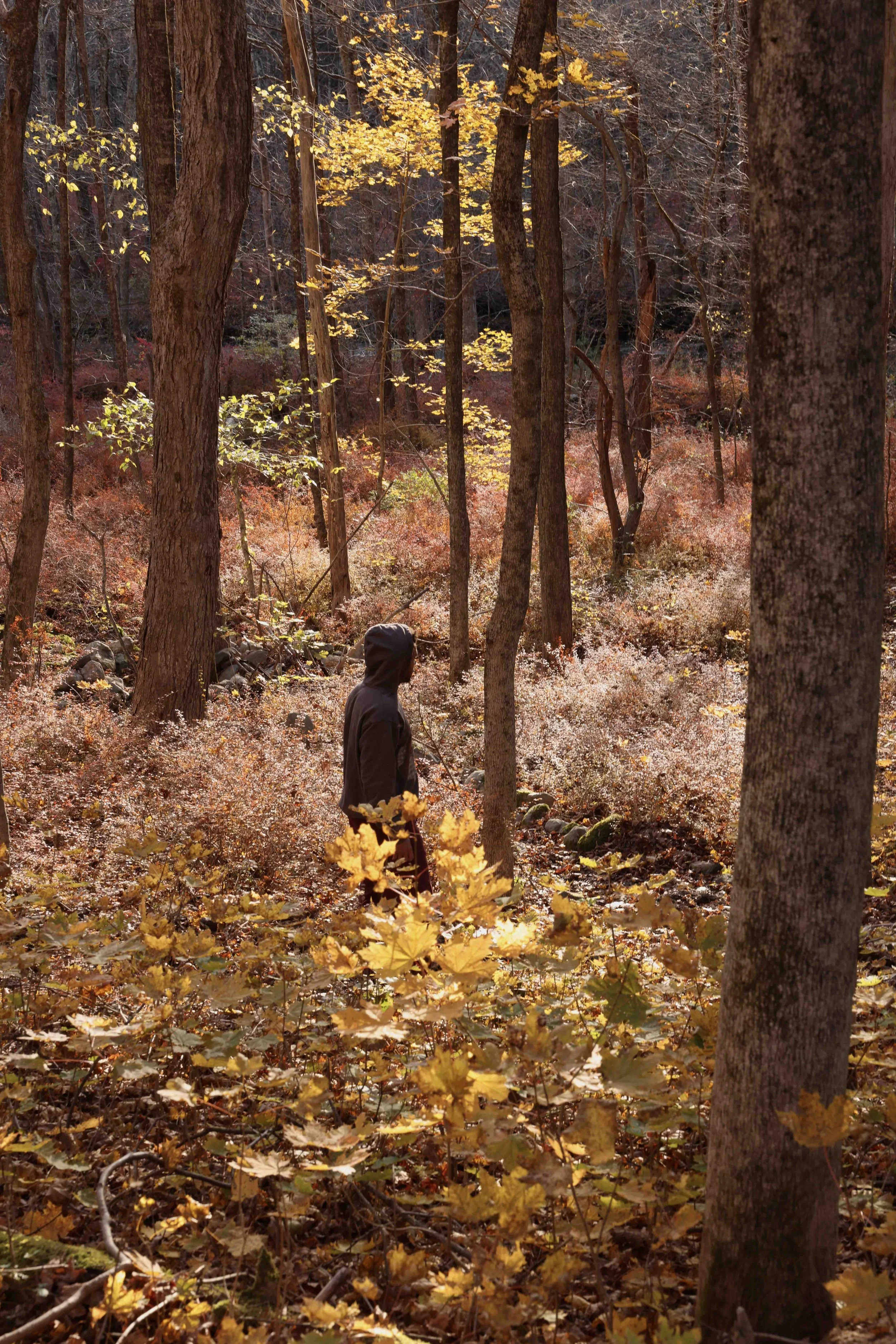 Photo Nov 01 2025, 4 31 24 AM.jpg