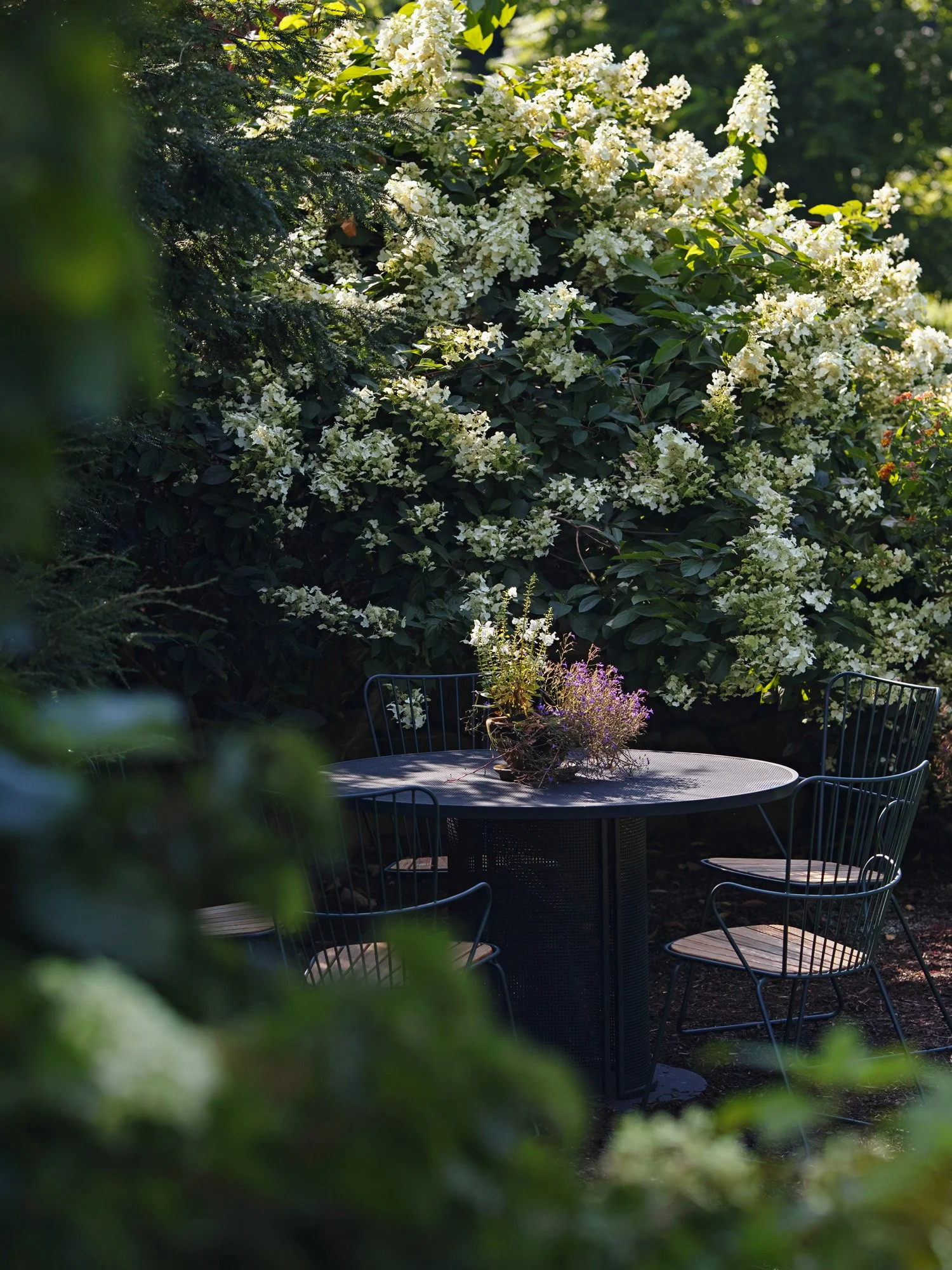 weddings_argyll-ex_back garden-1.jpg