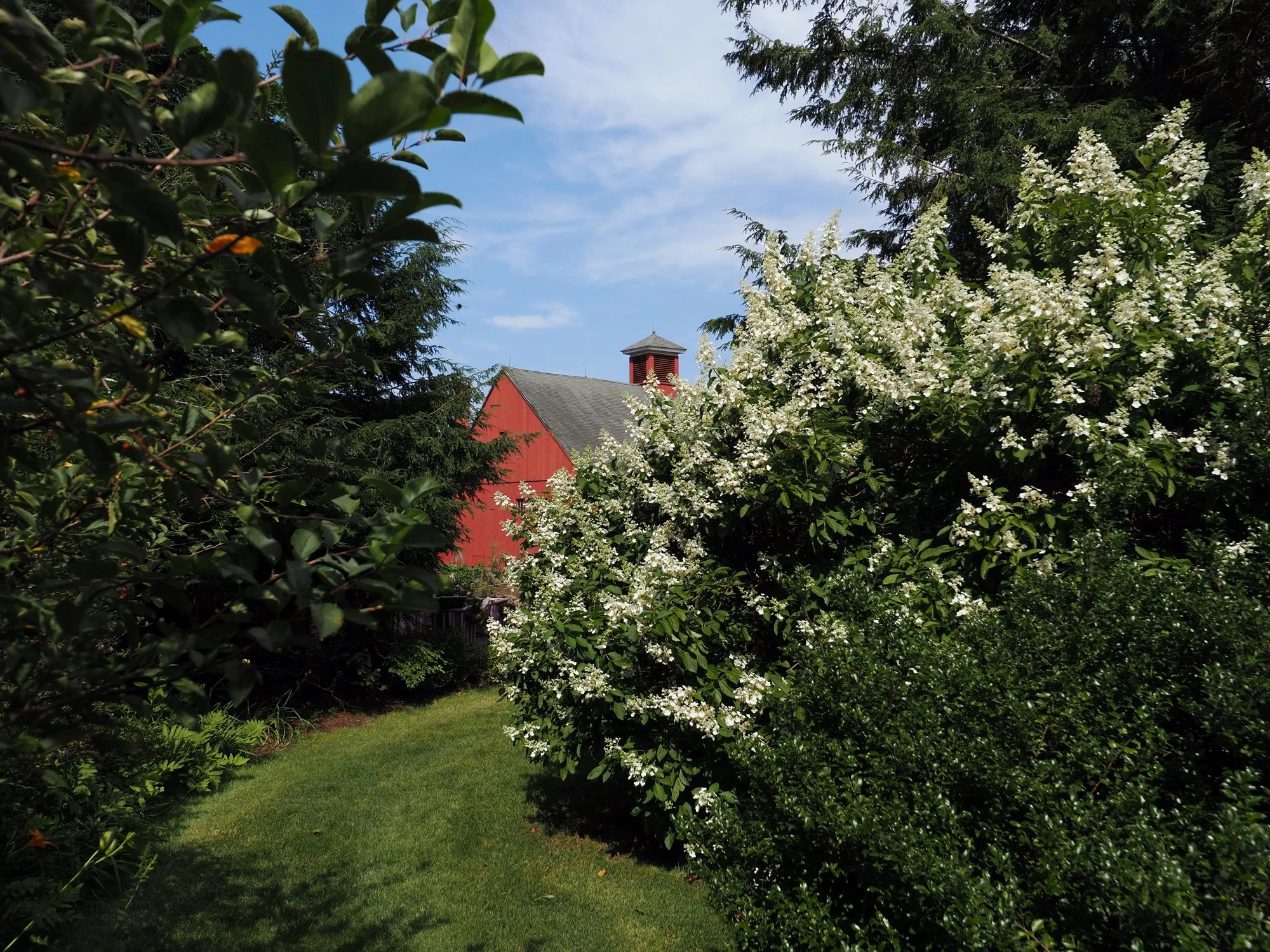 weddings_argyll-ex_back garden-2.jpg