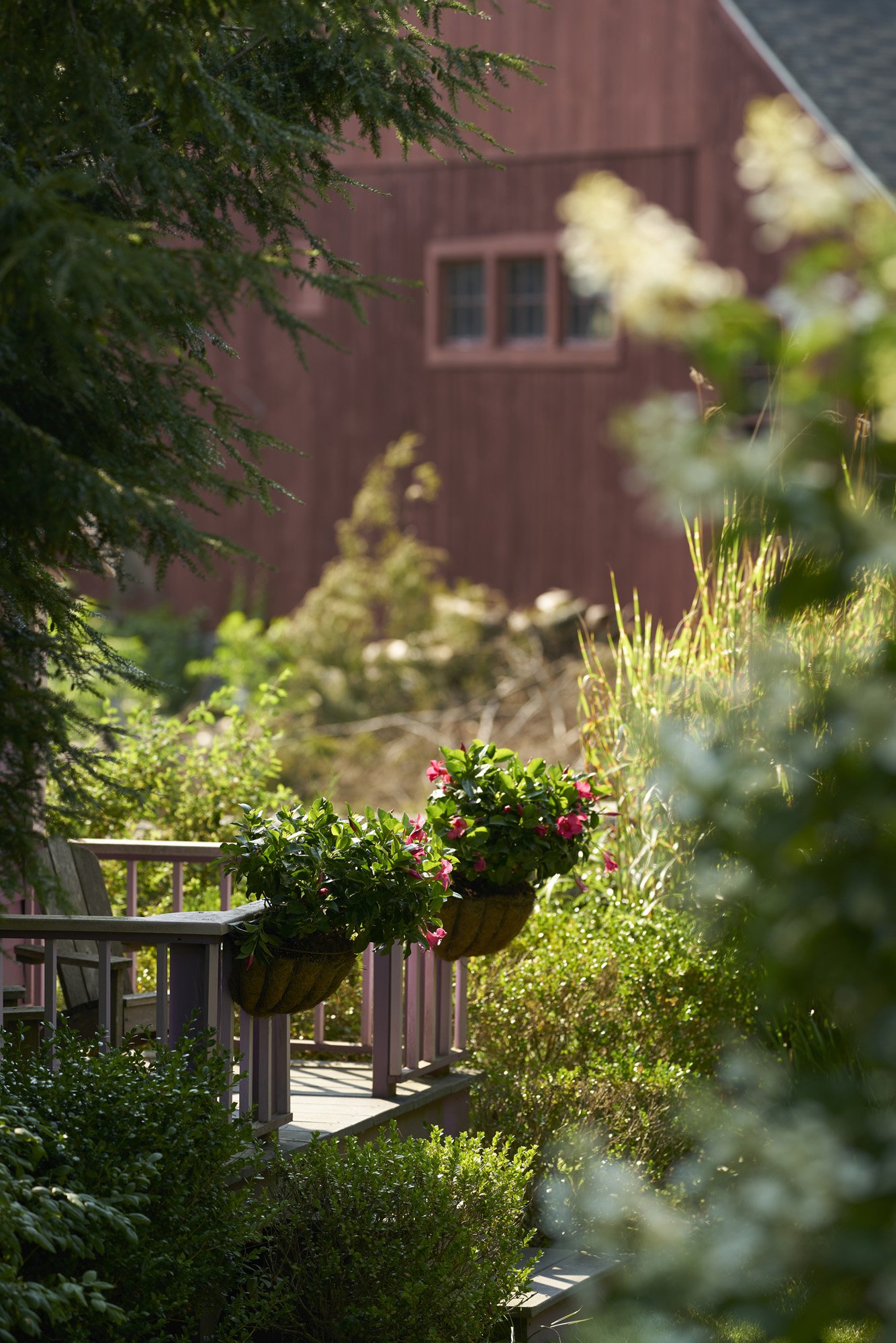 xx46_back-play house.jpg