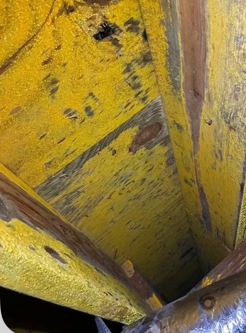 Mold Before