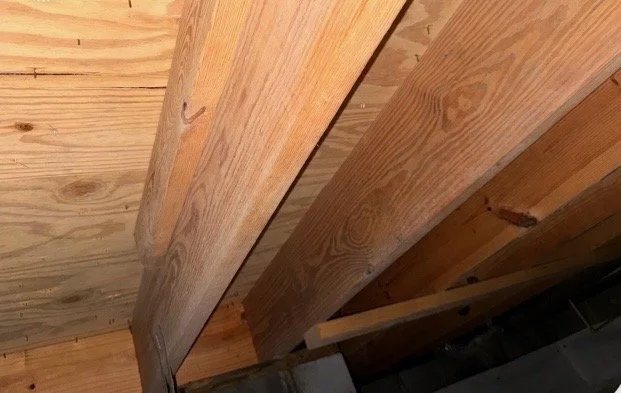 Mold After