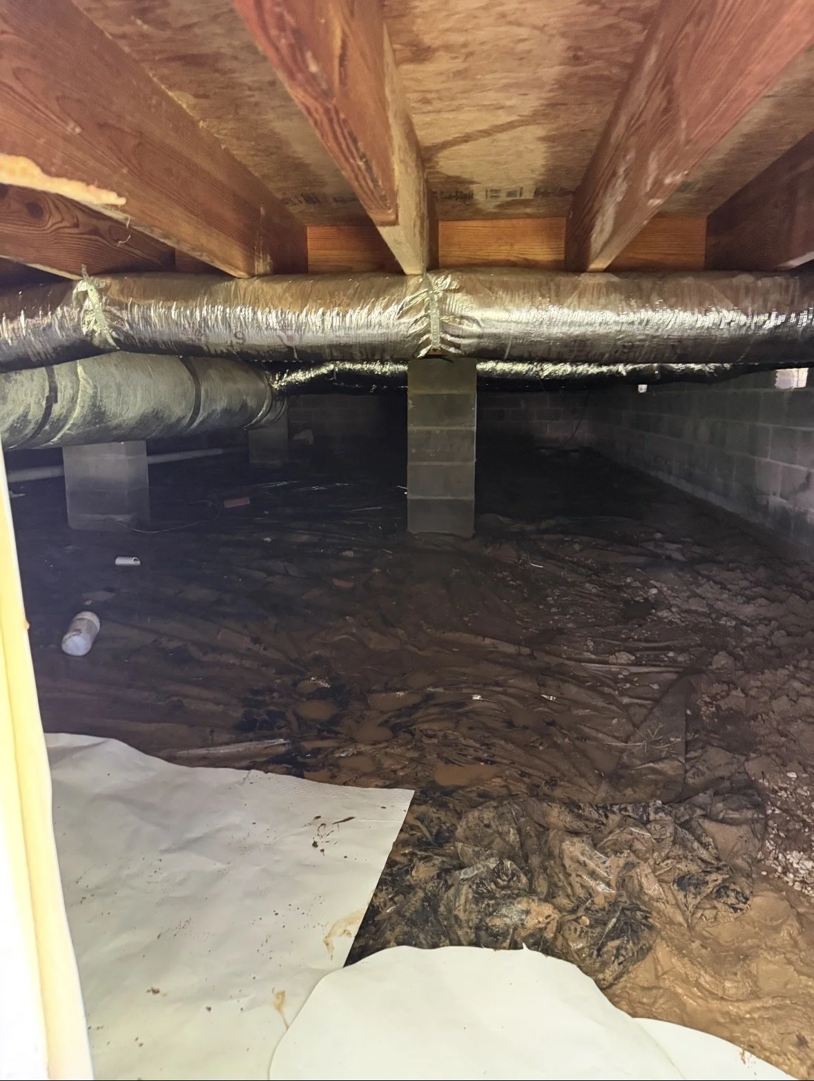 Crawlspace Before