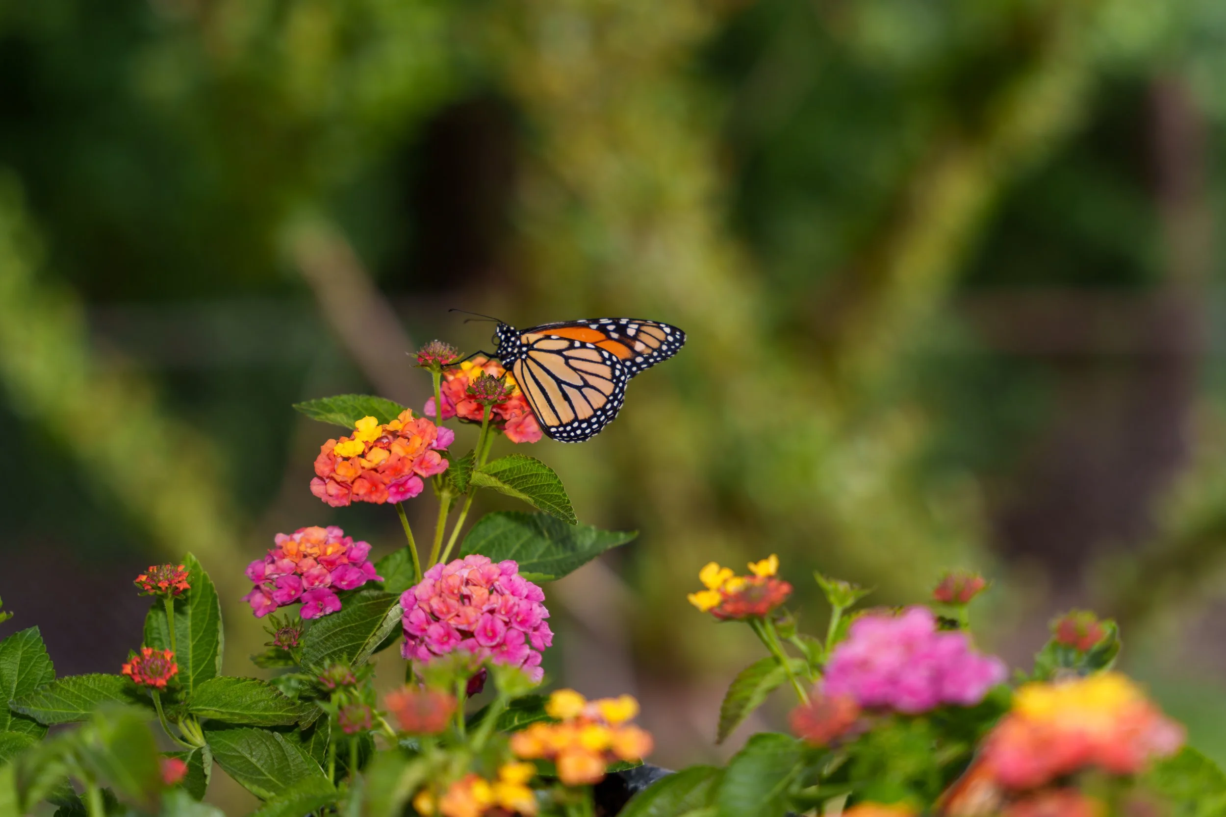 Spring Soiree 2026 - 090.JPG