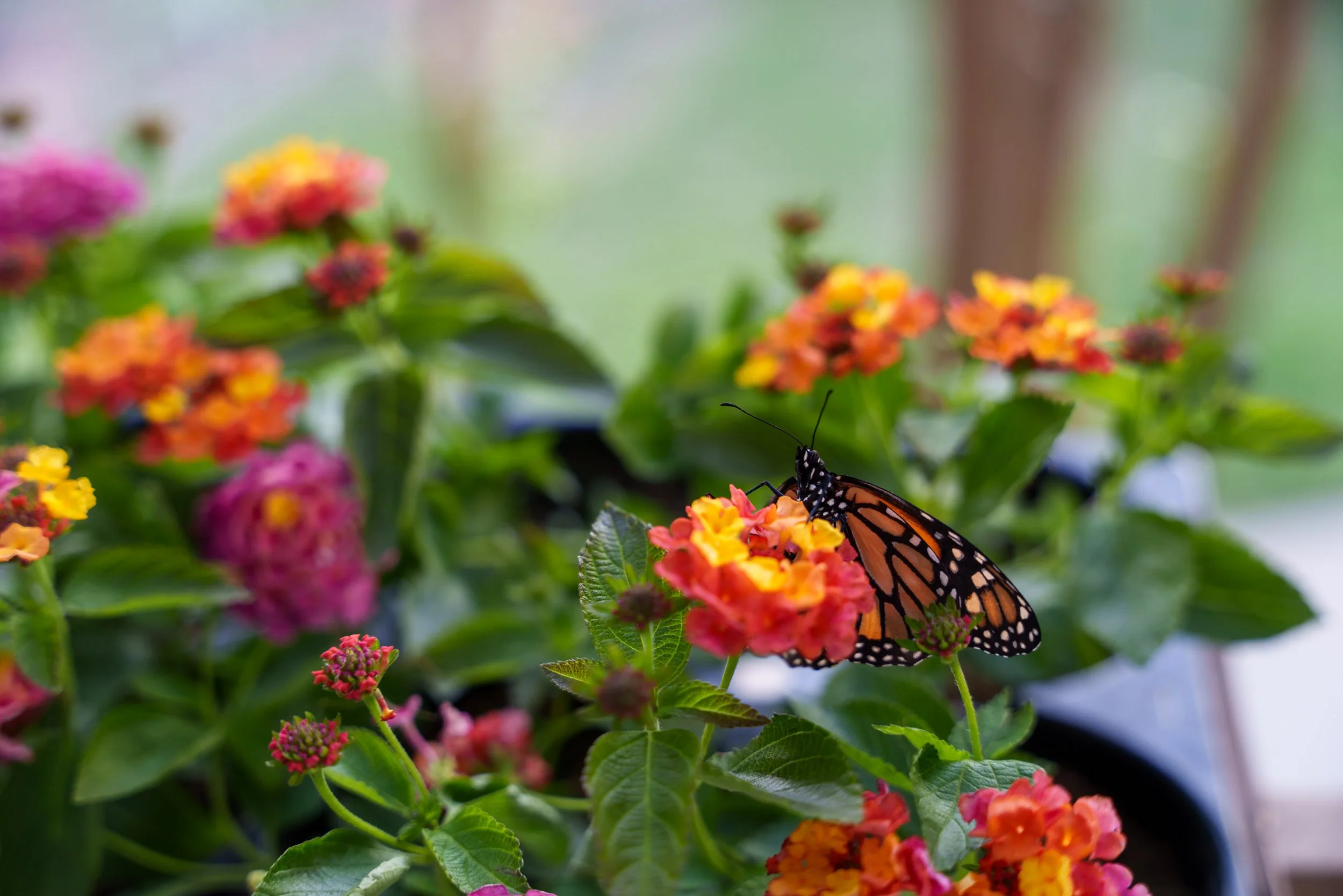 Spring Soiree 2026 - 083.JPG