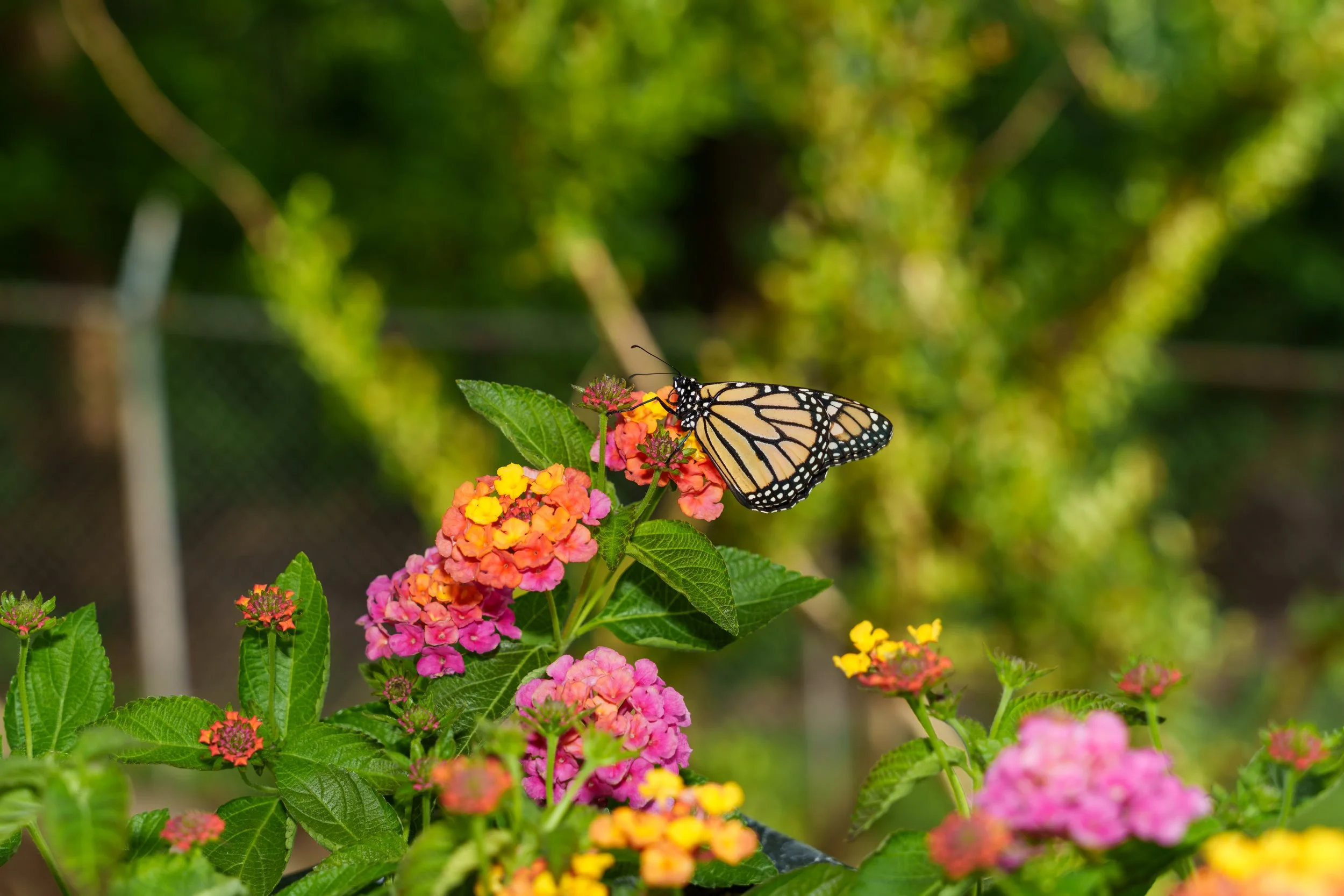 Spring Soiree 2026 - 082.JPG