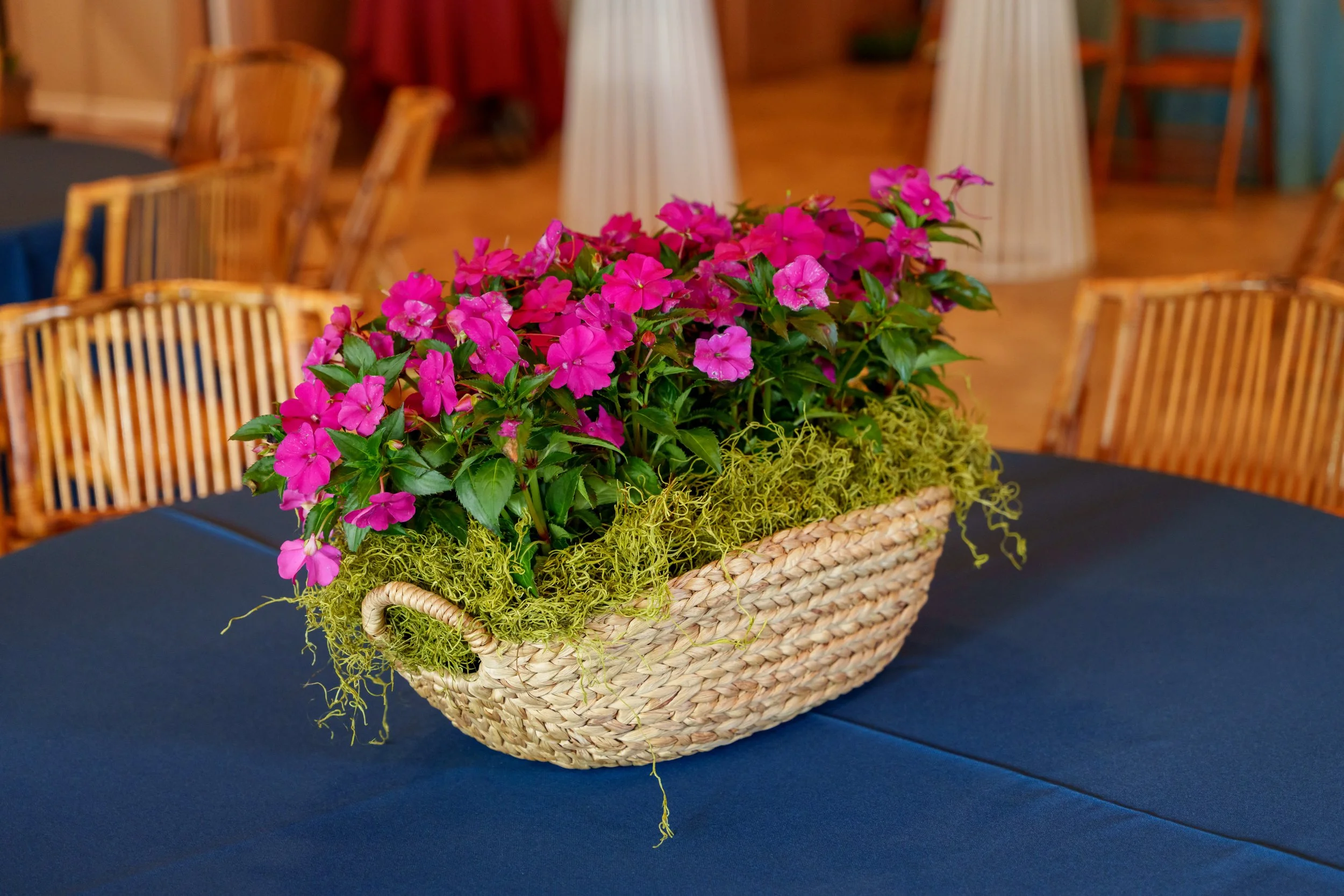 Spring Soiree 2026 - 037.JPG