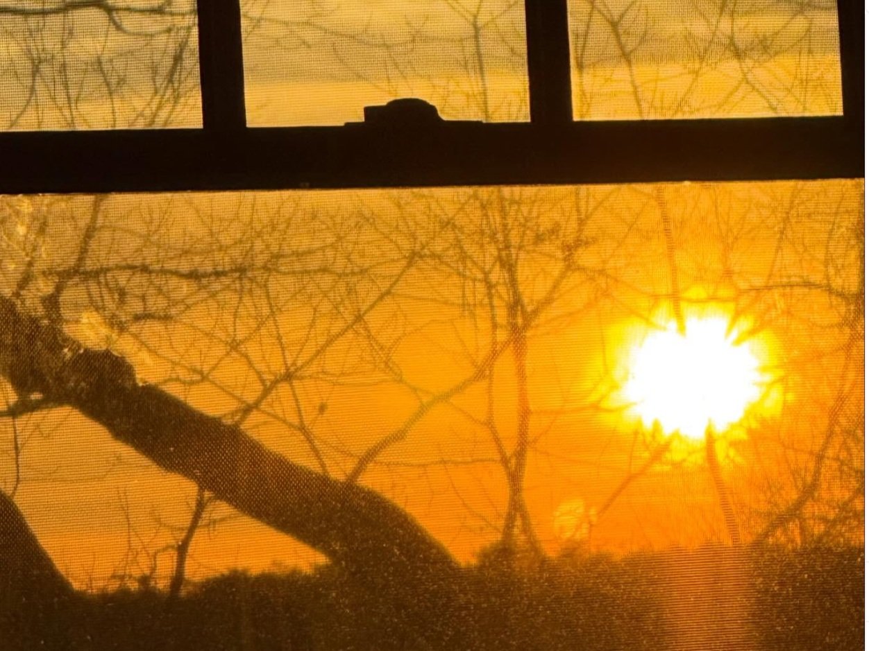 Sunset Gazing on the Coldest Day in New England