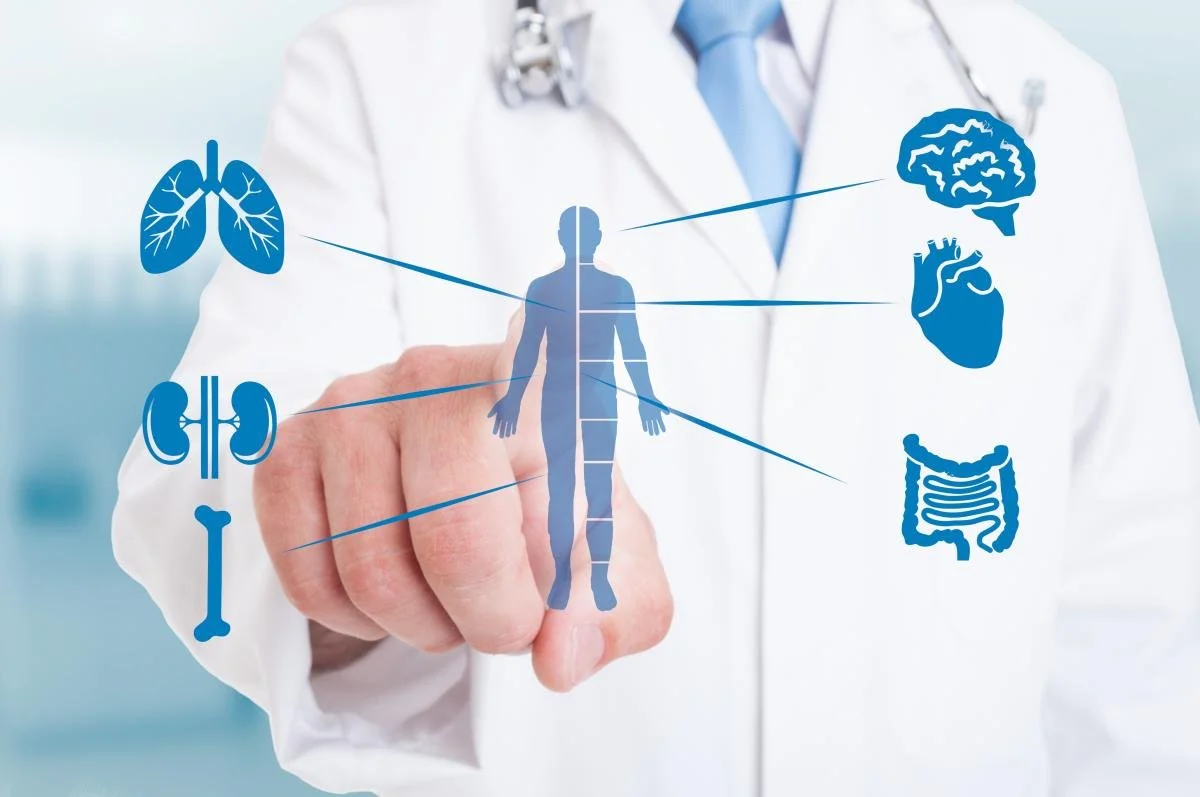 A medical professional in a white coat with a stethoscope points at a digital illustration of a human figure with lines connecting to icons representing lungs, kidneys, brain, heart, and intestines.
