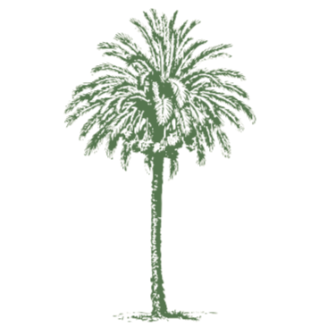 Britt and Will Wedding