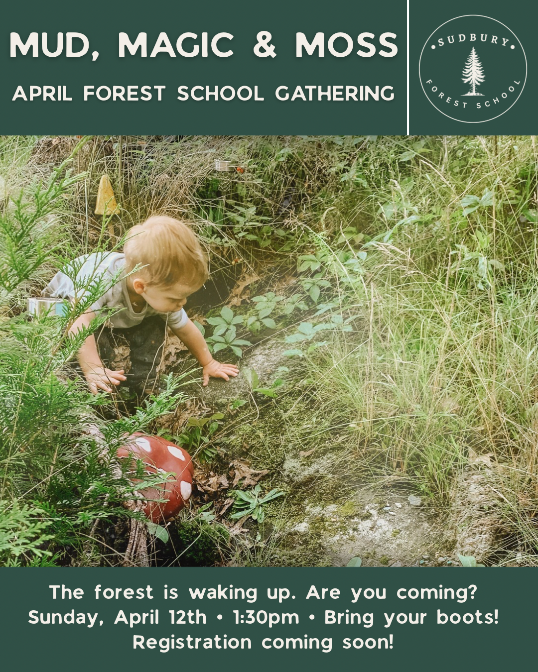 Mud, Magic & Moss - Forest School Gathering