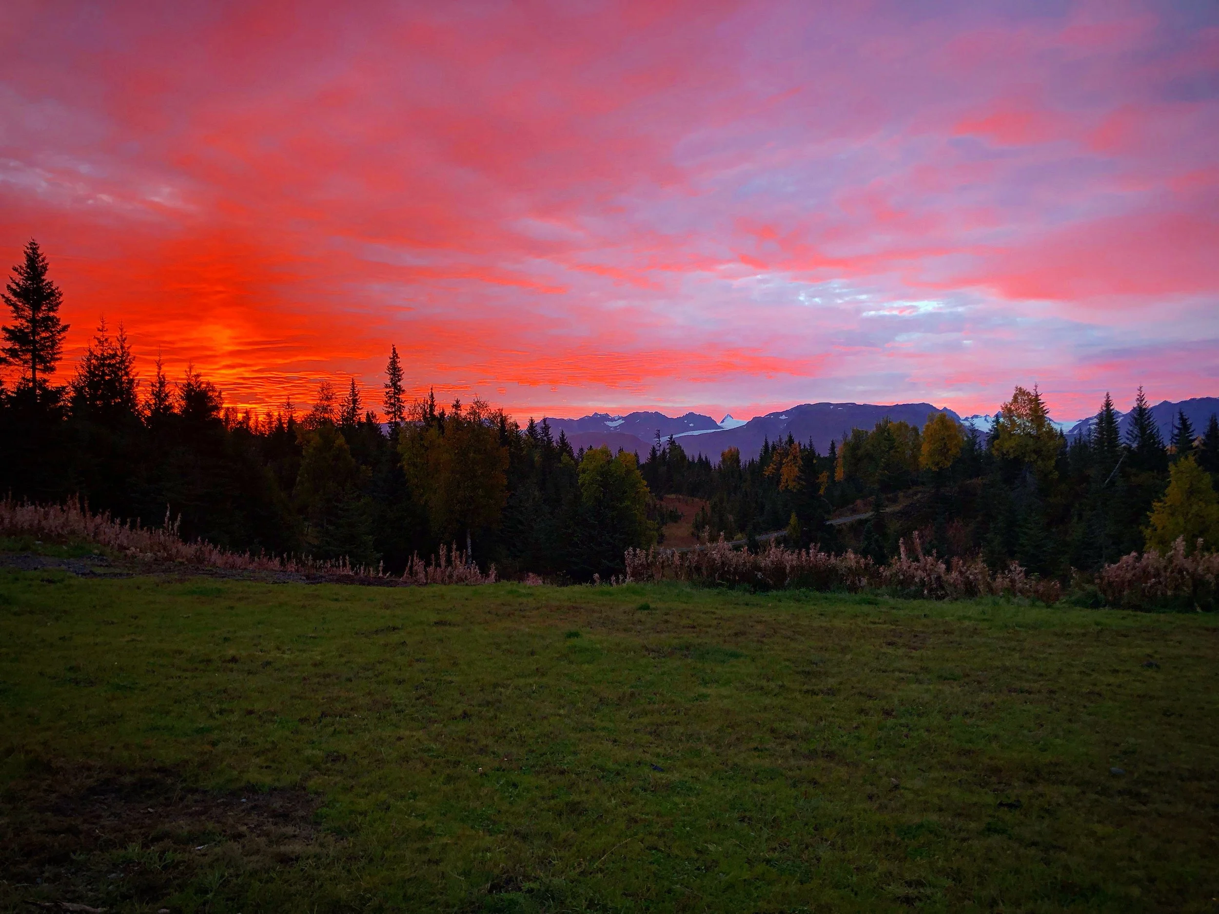 Sunset over a forest with tall trees, colorful sky with pink, purple, and orange clouds, and distant mountains.