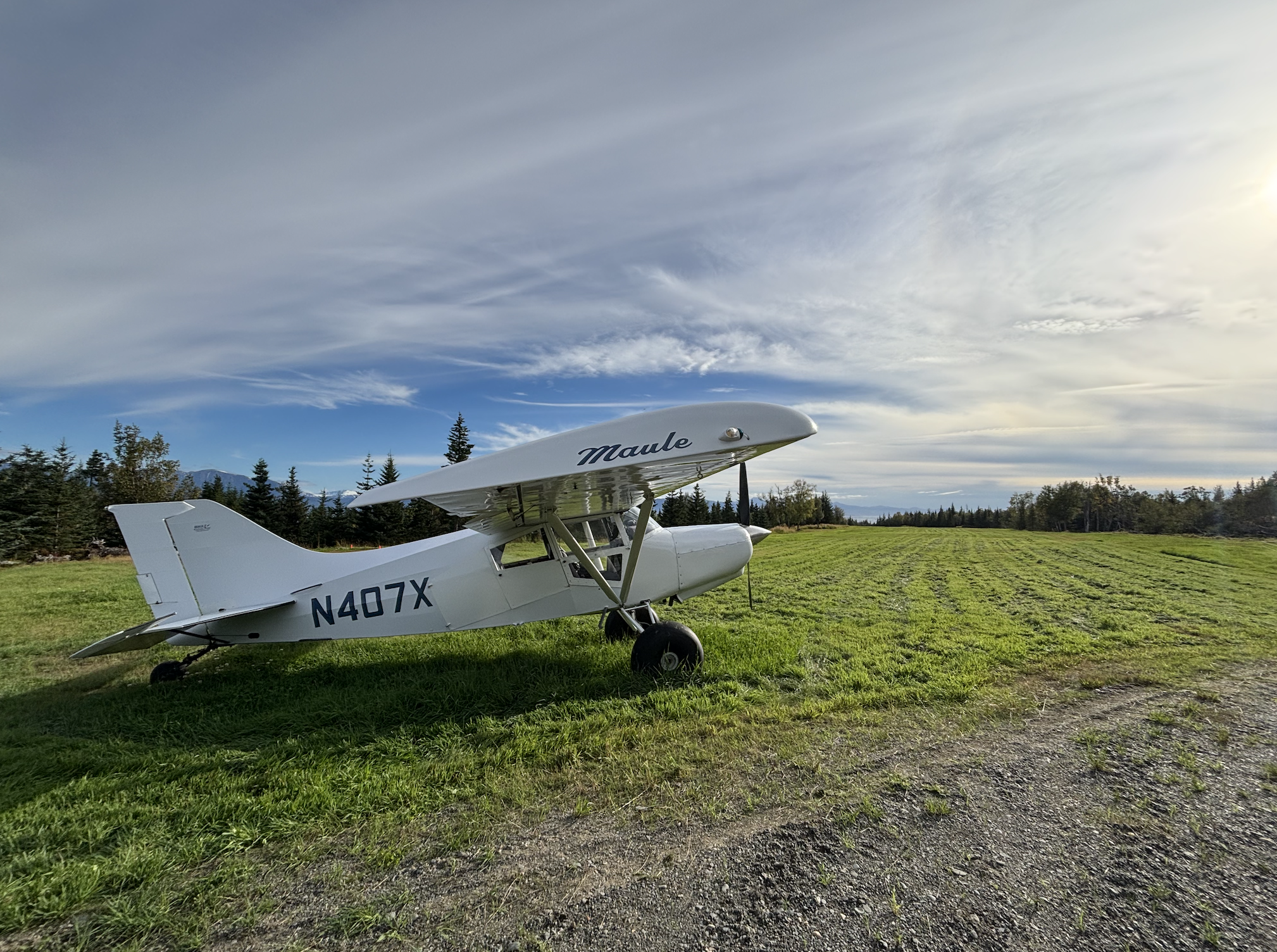 Small white airplane with tail number N407X parked on a grassy field, with a row of trees in the background and partly cloudy sky overhead.