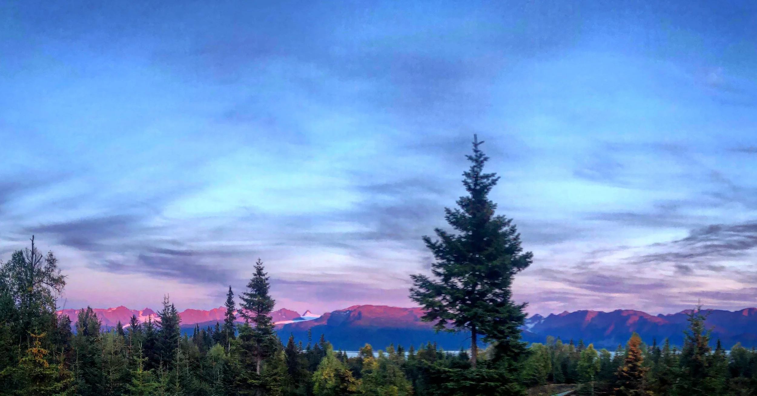 Scenic view of pine trees in foreground, distant mountain range with pink and purple hues, and a sky with streaks of clouds during sunset or sunrise.