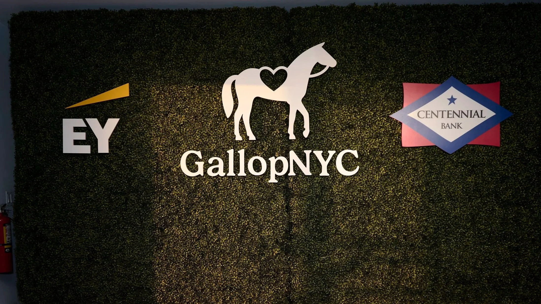 GallopNYC