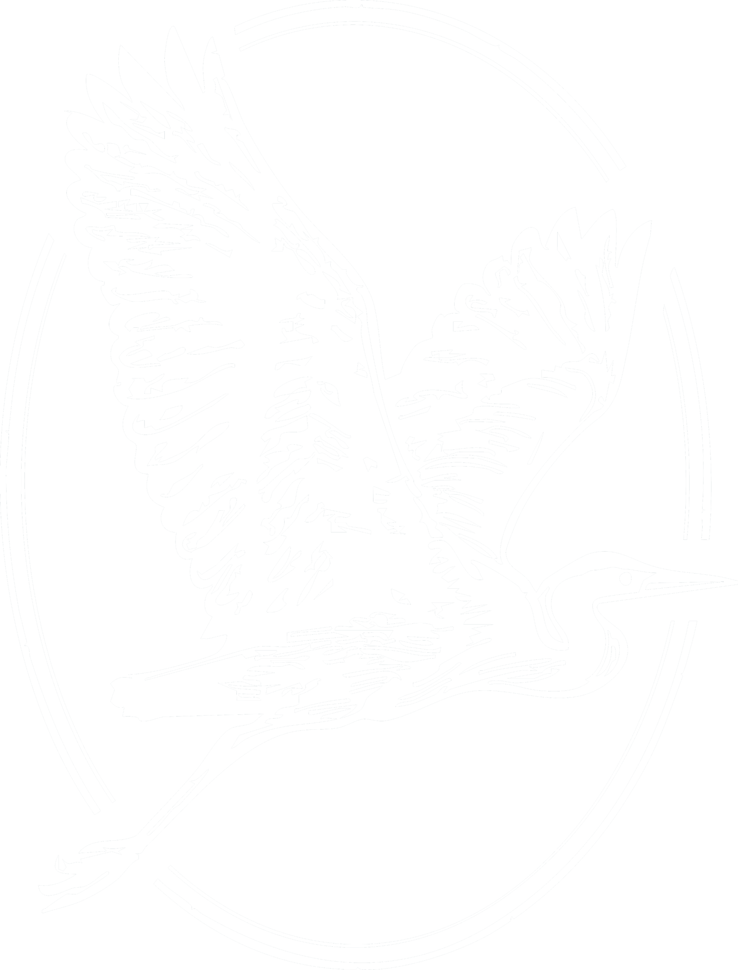 Illustration en noir et blanc d'un héron en vol avec ses ailes déployées et un long bec pointu.