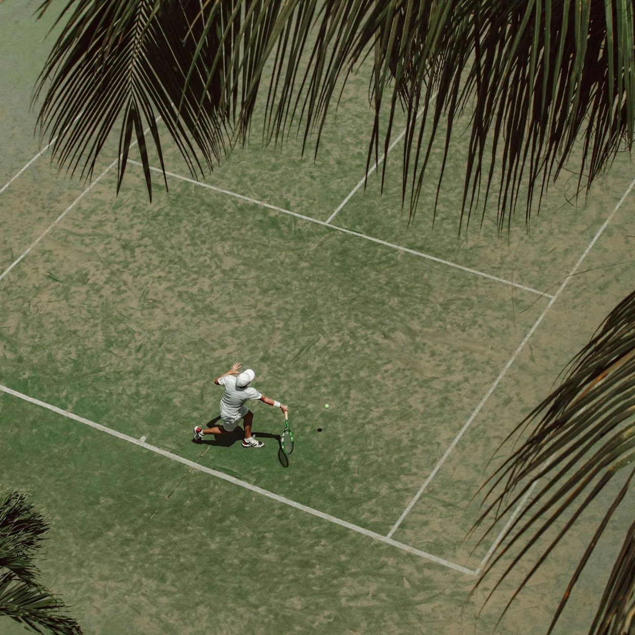 A tennis player in a white outfit and cap hits a tennis ball on a green court, viewed from above with palm tree leaves in the foreground.