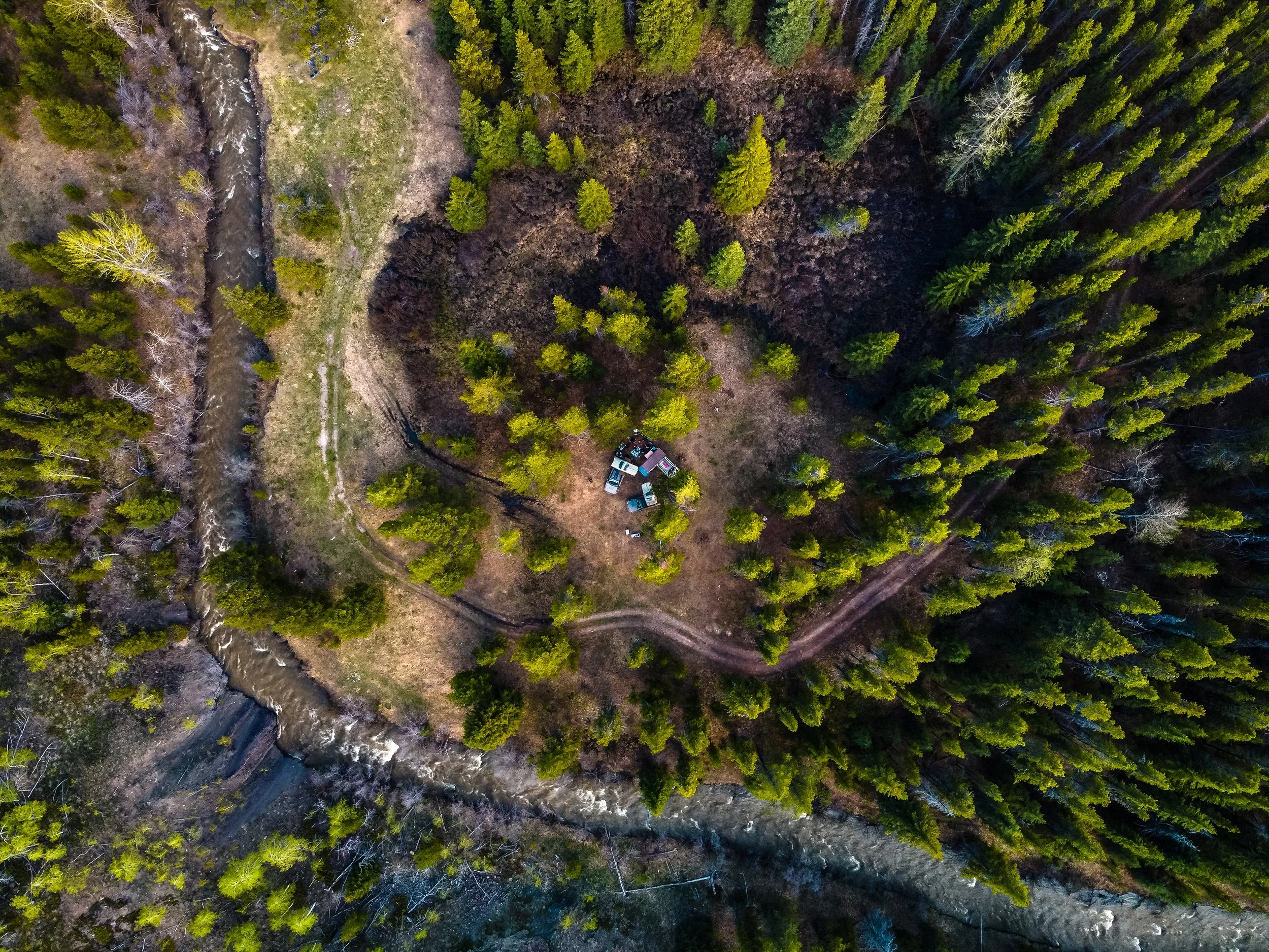 Lern wilderness in its unbelievable spirit