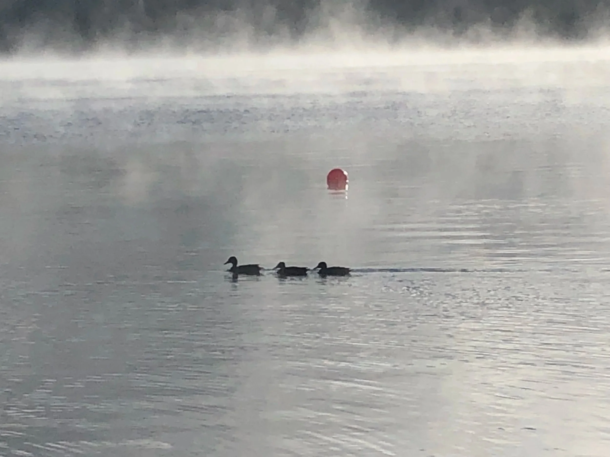 Navigating Fertility Challenges: The Invisible Emotional Work