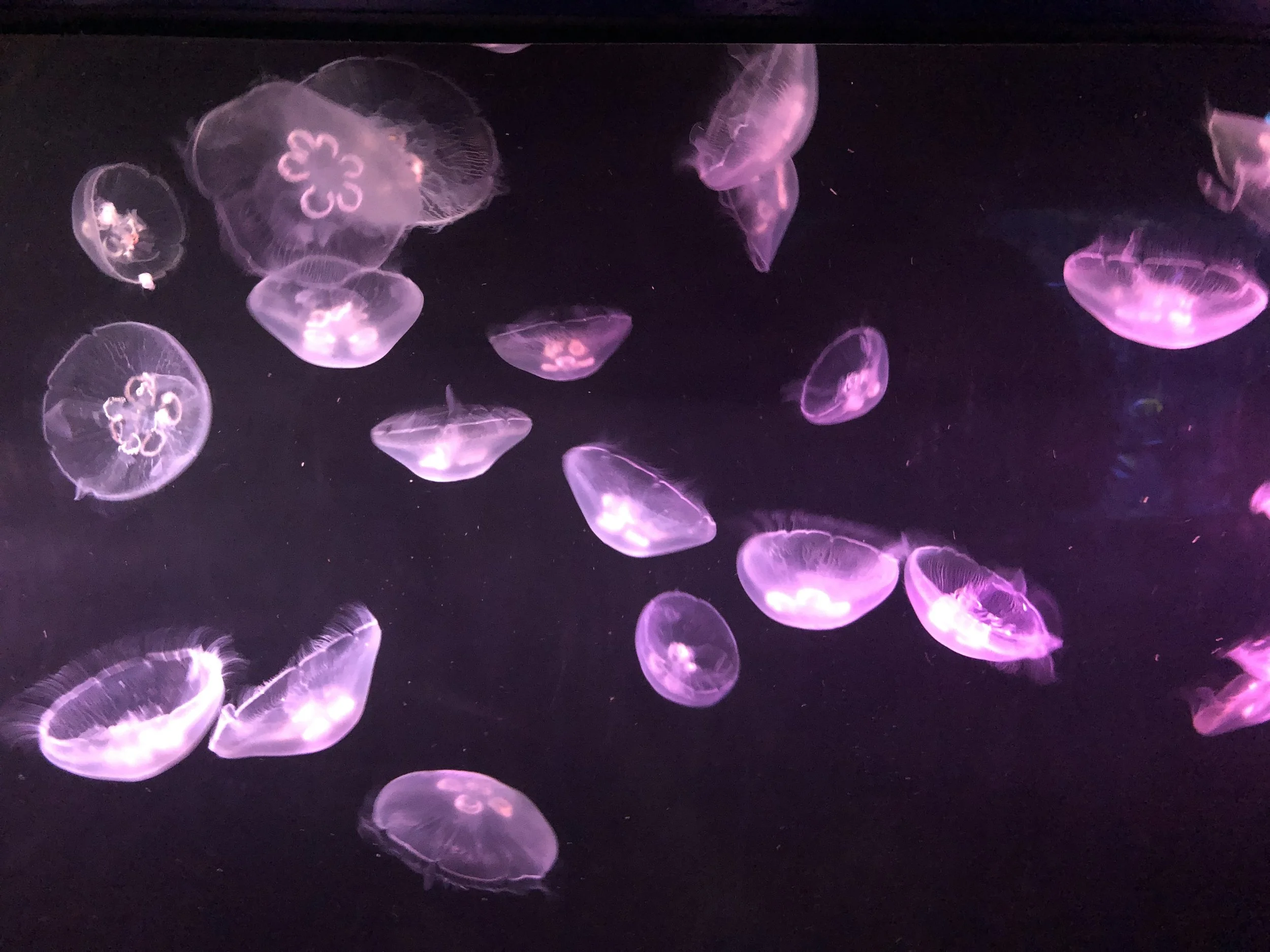 PMDD: When Cycles Feel Overwhelming